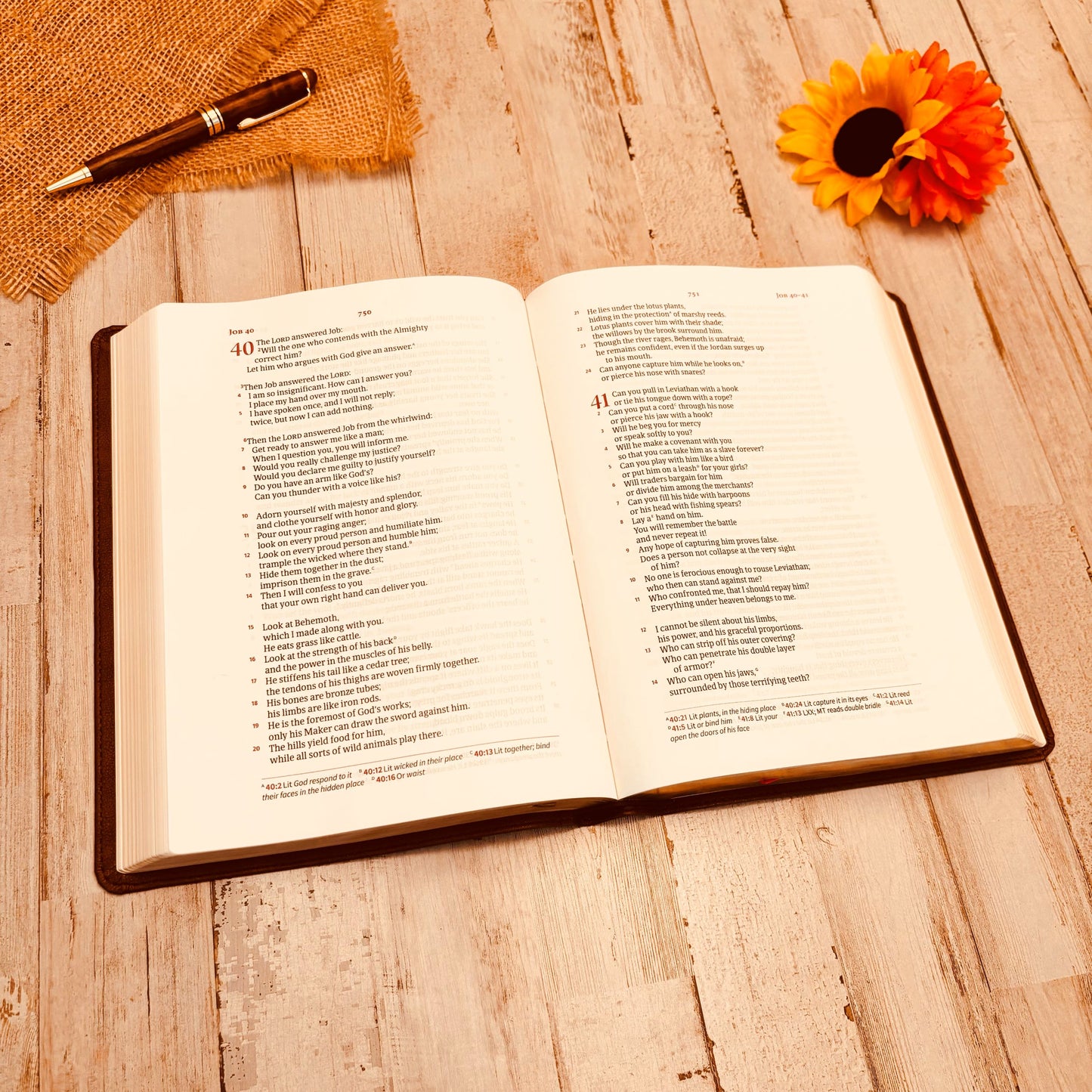 Personalized CSB Bible: Create Your Own Custom Engraved Design with a Designer, Large Print Wide-Margin Christian Standard Holy Bible - Aylev