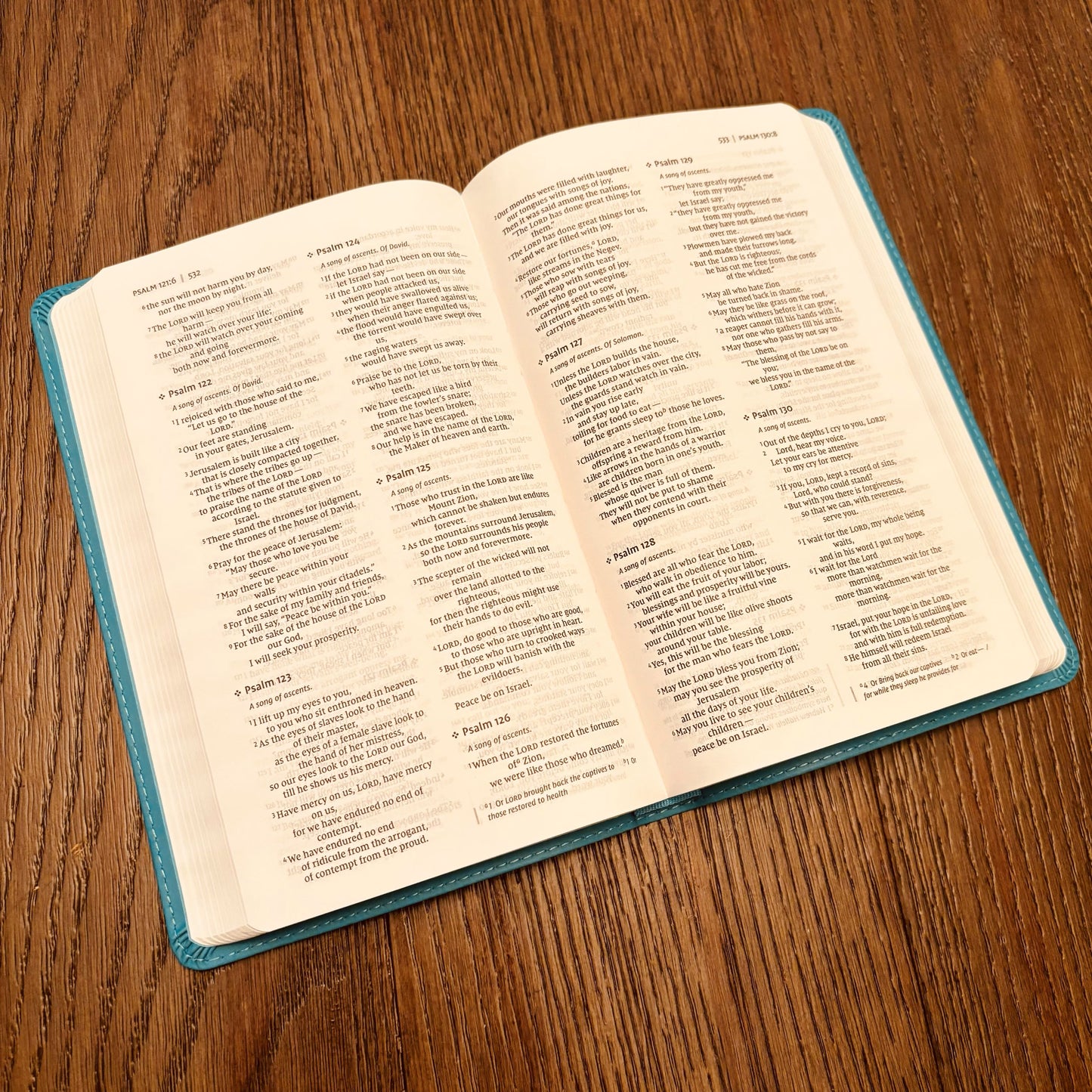 Custom NIV Bible | Light Blue Thinline | Custom Bible Engraved New International Version Christian Gifts Baptism Gifts NIV Bible Women - Aylev