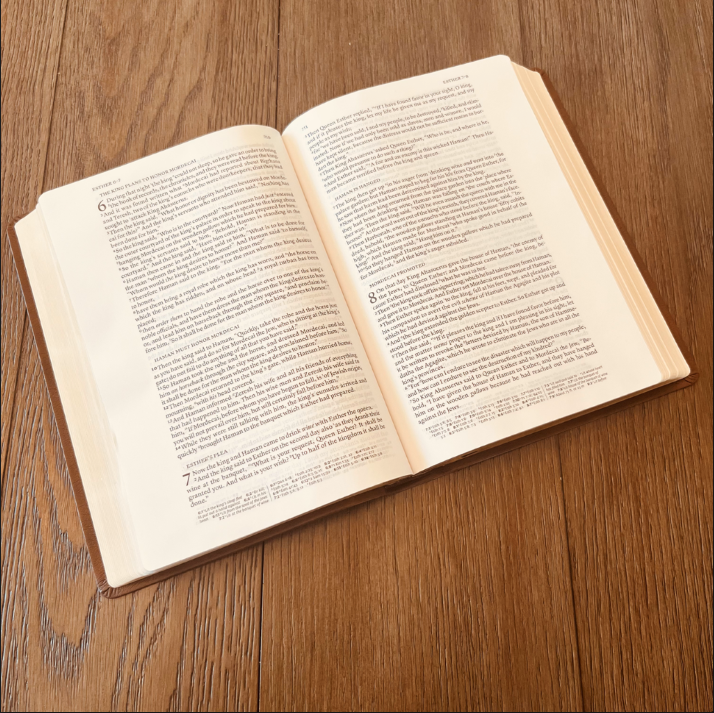 Personalized NASB Bible: Create Your Own Custom Engraved Design with a Designer, Wide Margin Reference Bible, Christian Gifts, Baptism Gifts