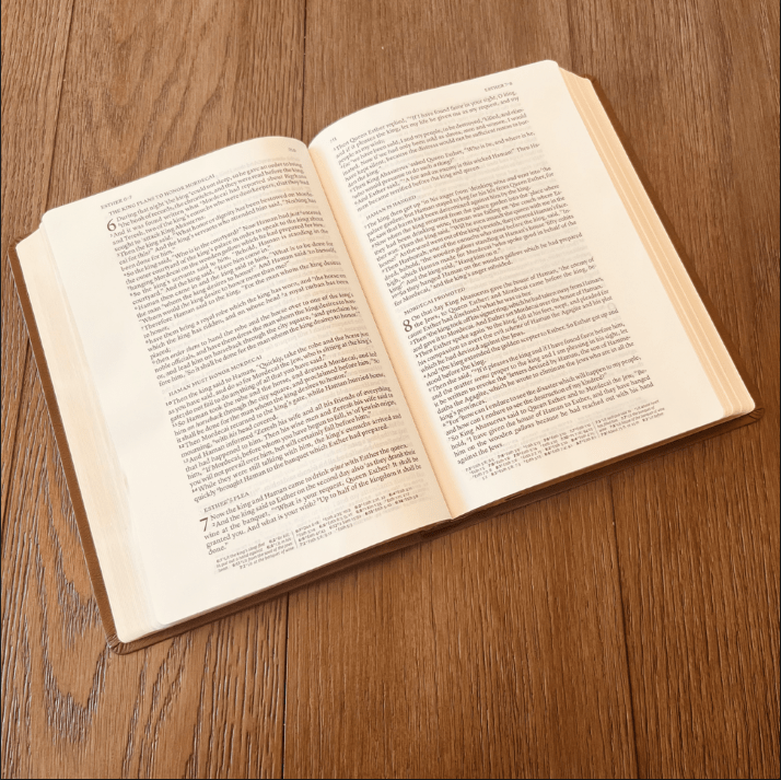 Personalized NASB Bible: Create Your Own Custom Engraved Design with a Designer, Wide Margin Reference Bible, Christian Gifts, Baptism Gifts - Religious Books - Aylev