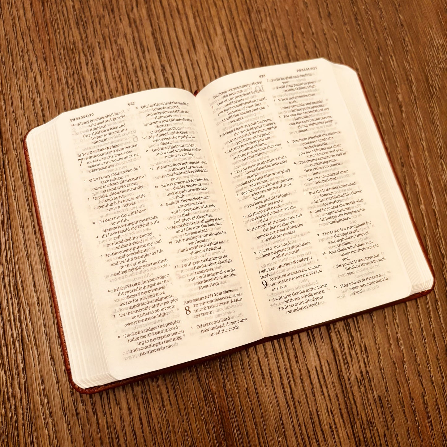 Custom ESV Pocket Bible | Small Bible | Custom Bible Engraved English Standard Version Christian Gifts Compact Bible Baptism Gifts - Aylev