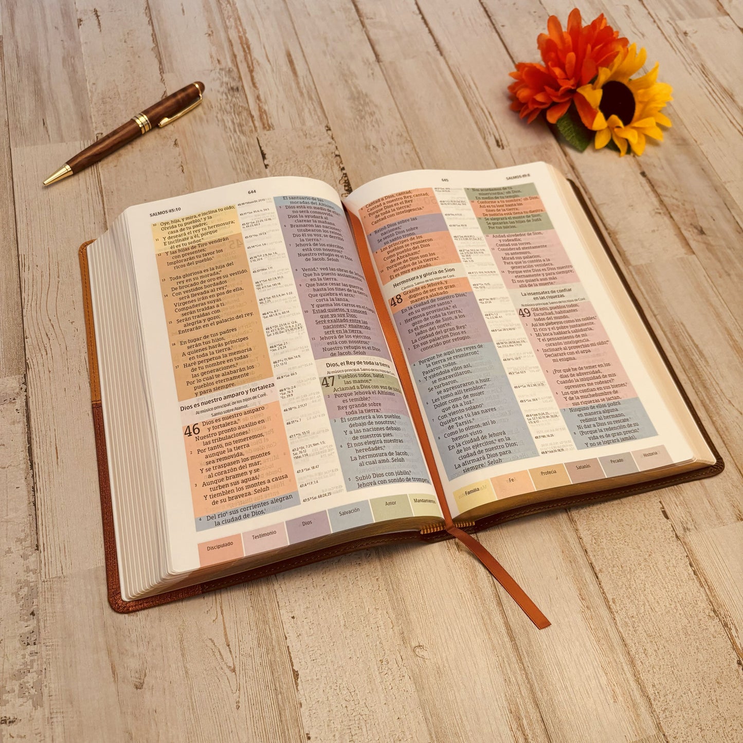 Biblia RVR 1960 personalizada con nombre grabado, RVR 1960 Biblia de Estudio Arcoíris, Custom Engraved Spanish Rainbow Bible, Baptism Gifts