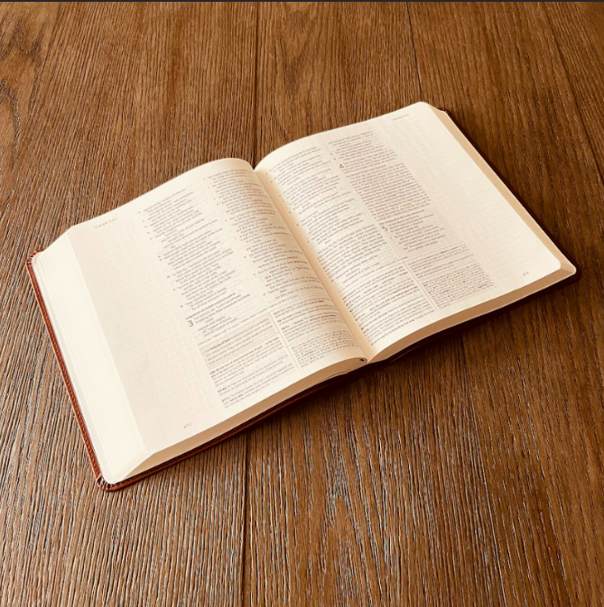 Personalized Family Bible | Custom ESV Family Tree Study Bible | Engraved Bible Wedding Bible Christian Gifts Family Bible for Wedding - Aylev
