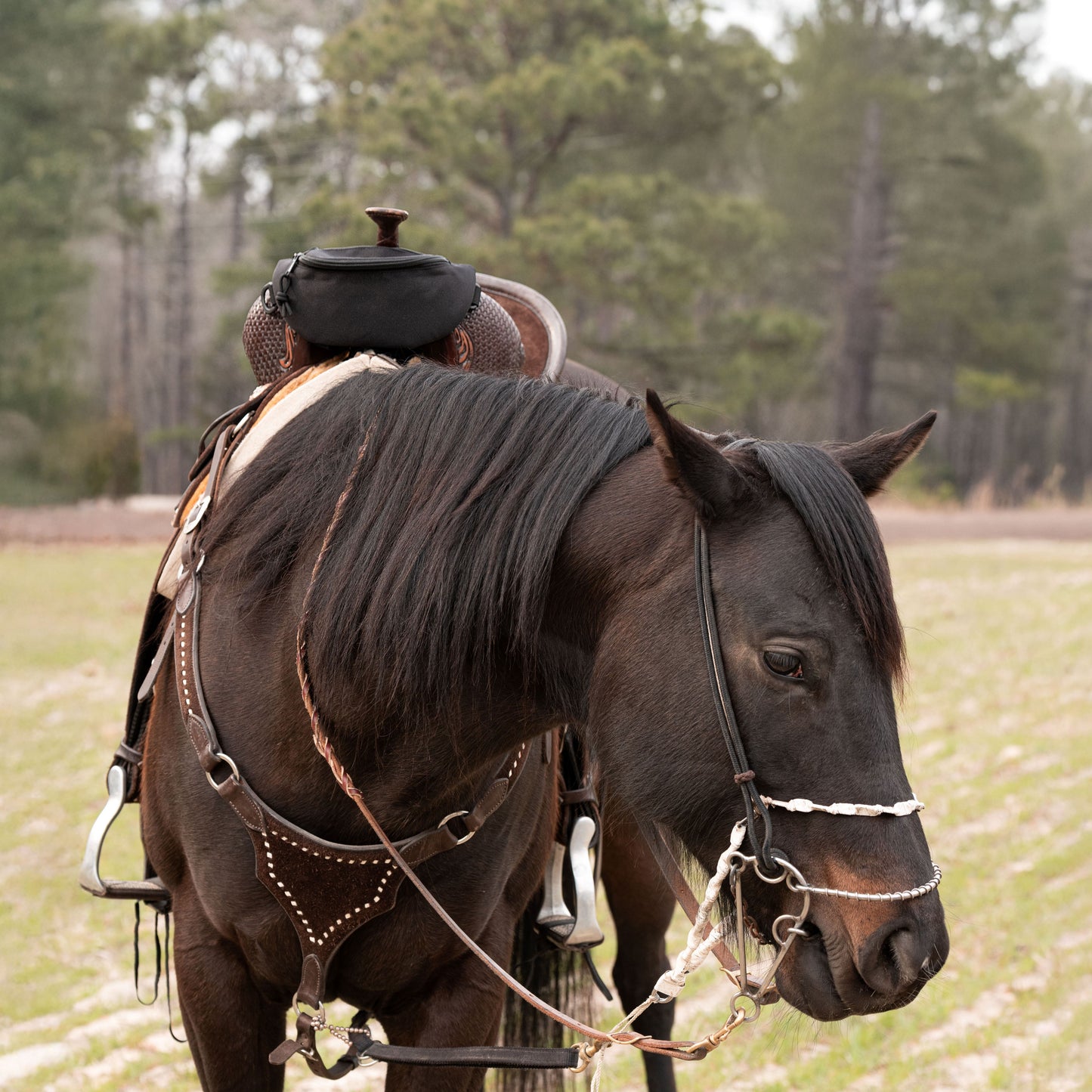 Horse Saddle Bag, Black Pommel Bag Horse Saddle, Horse Tack, Horse Gifts, Horse Stuff, Equestrian Gifts, Saddle Accessories