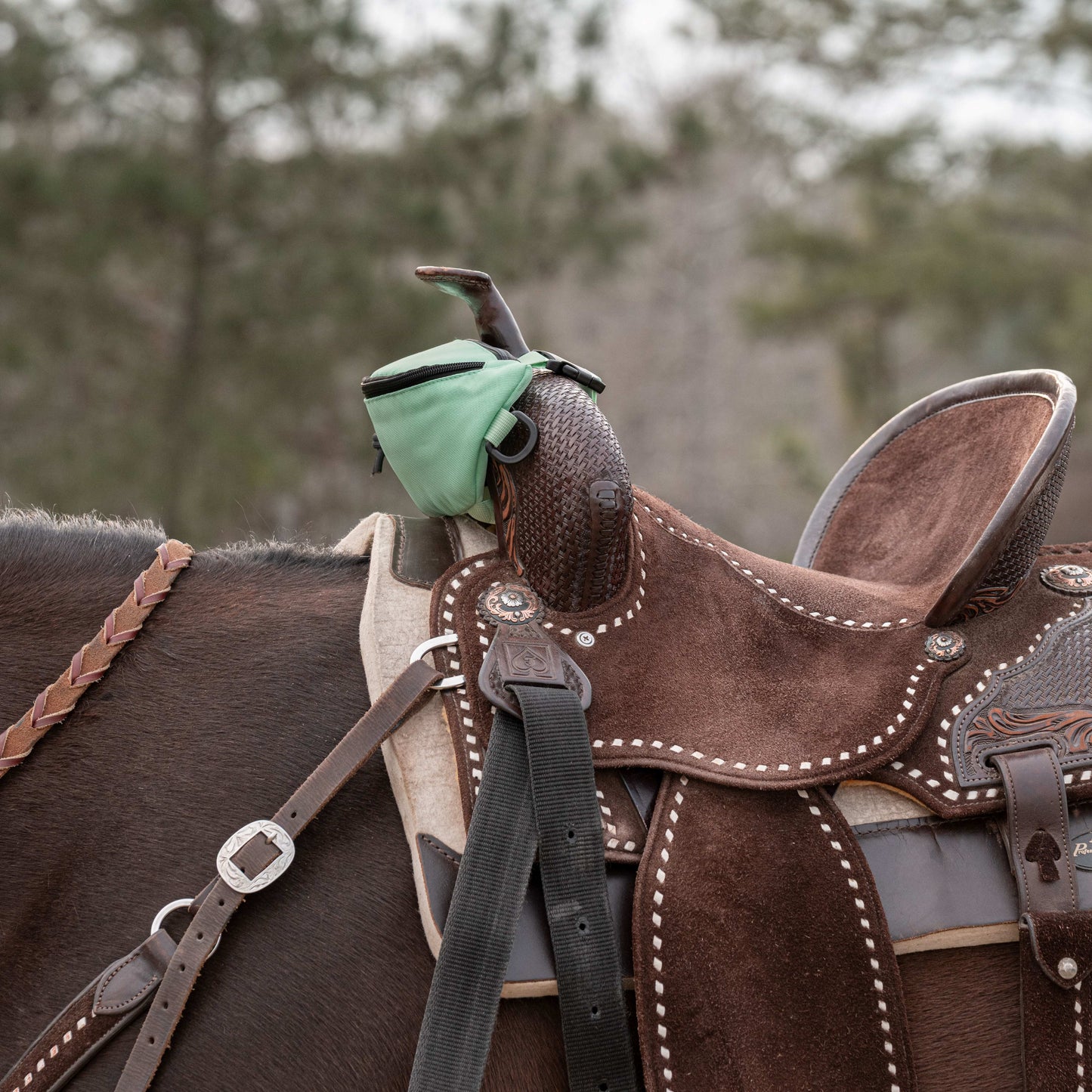 Horse Saddle Bag, Green Pommel Bag Horse Saddle, Horse Tack, Horse Gifts, Horse Stuff, Equestrian Gifts, Saddle Accessories