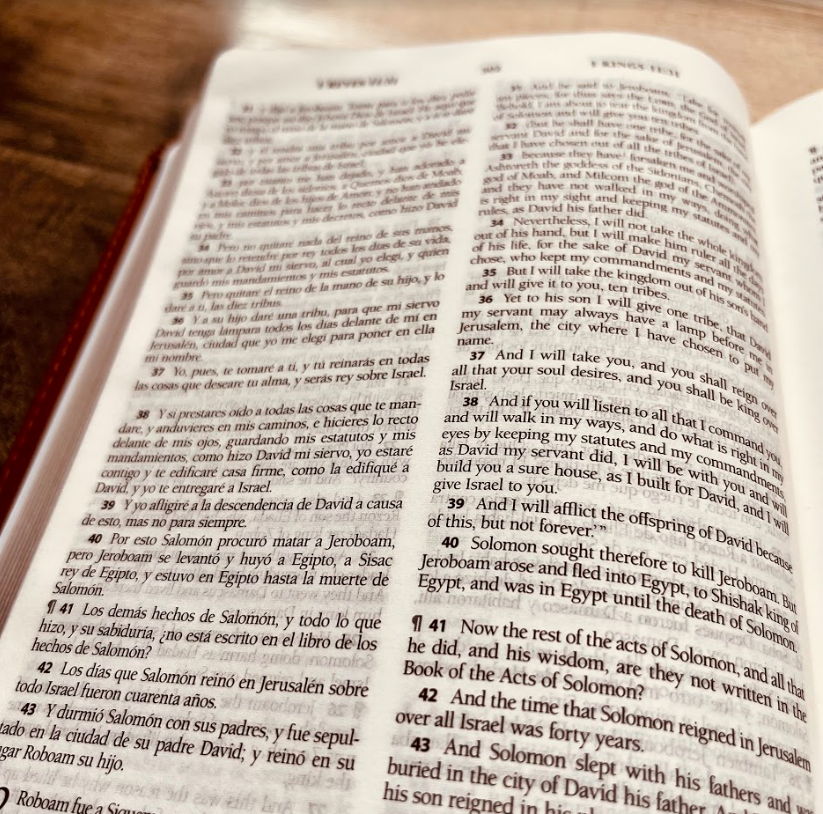 Custom Bilingual Bible | Biblia en Español Personalizada | Biblia Reina Valera 1960 en espanol | Spanish Bible Christian Gifts - Aylev