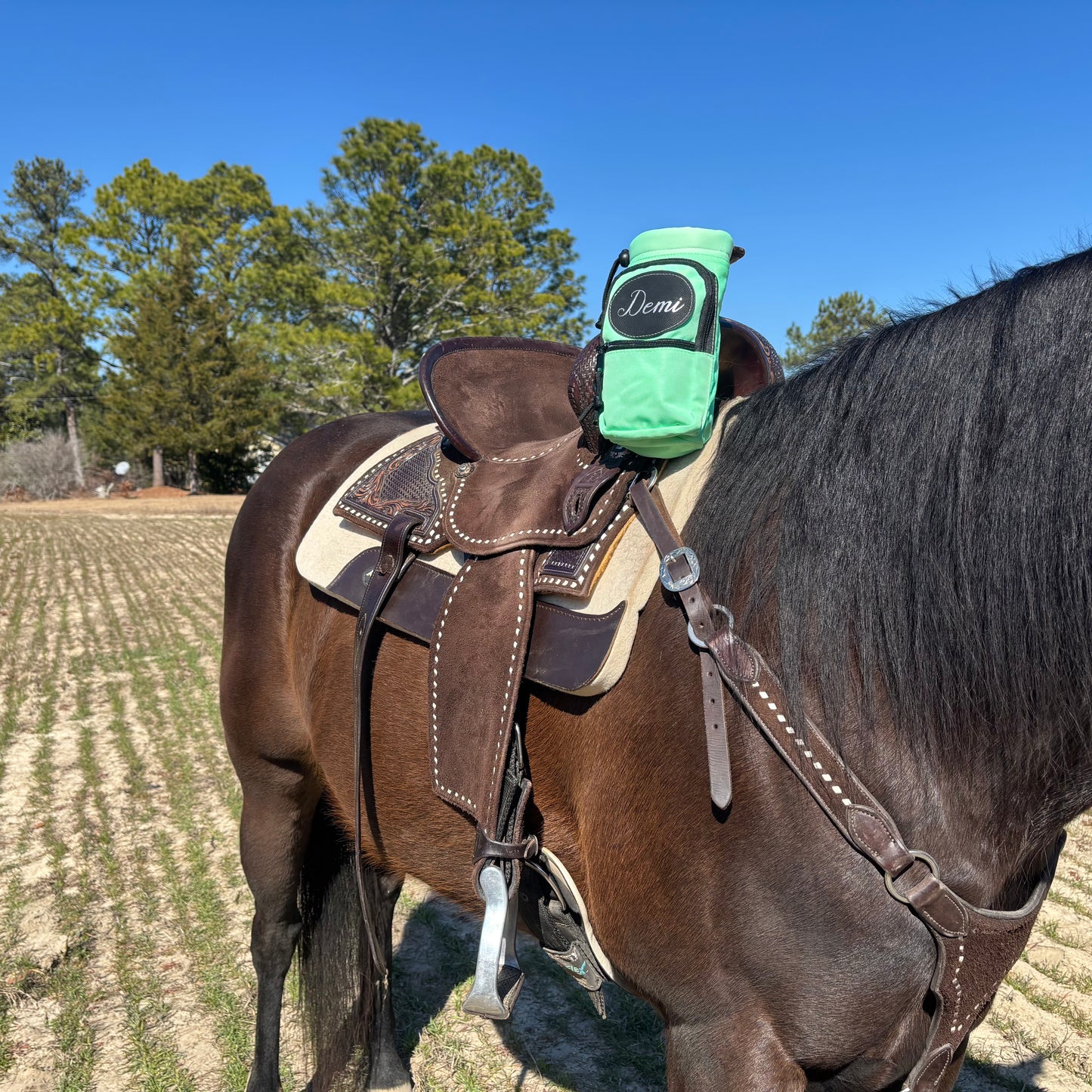 Personalized Horse Saddle Water Bottle Holder, Green, Multi Pocket Horse Saddle Drink Holder up to 40oz, Horse Gifts, Horse Stuff Horse Tack