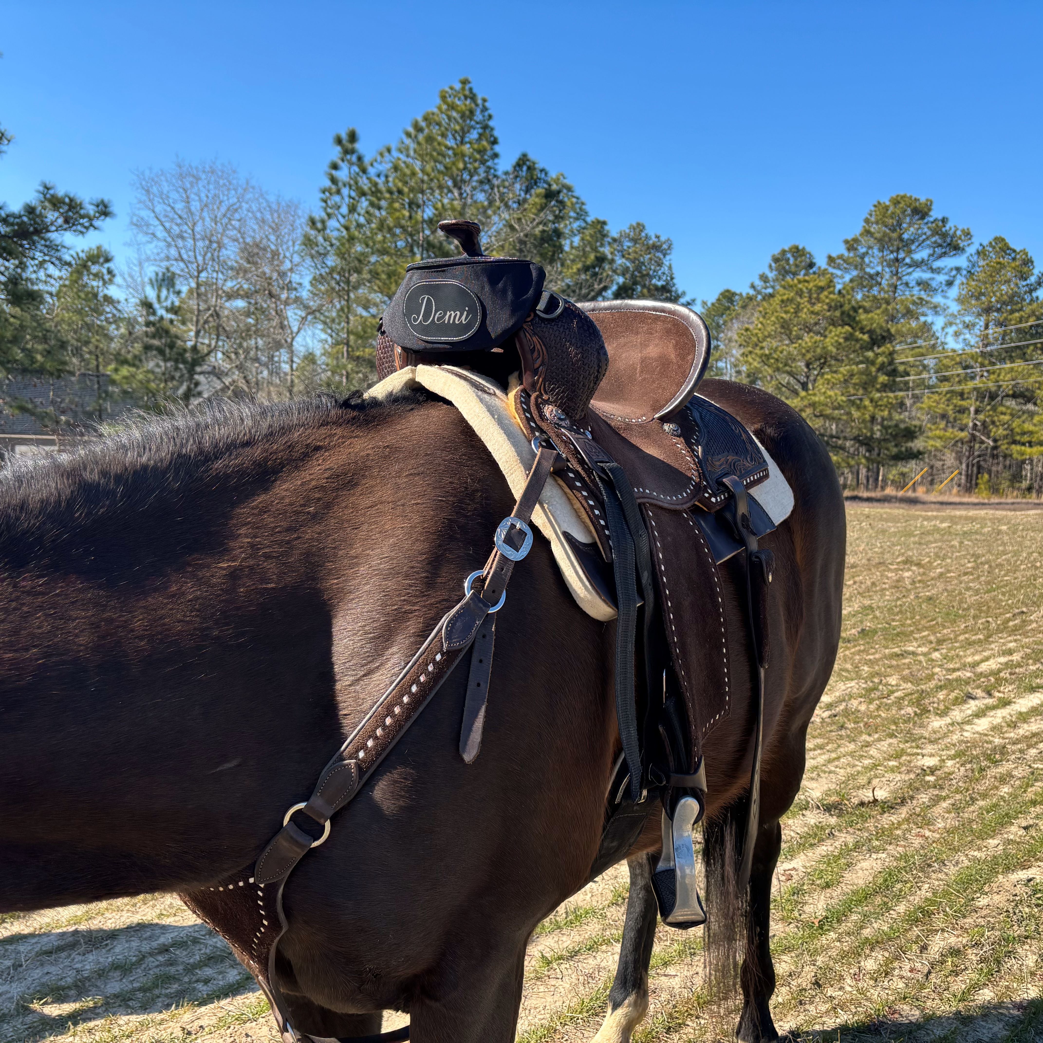Personalized Horse Saddle Bag, Black Pommel Bag Horse Saddle, Horse Tack, Horse Gifts, Horse Stuff, Equestrian Gifts, Saddle Accessories Personalized Horse Saddle Bag, Black Pommel Bag Horse Saddle, Horse Tack, Horse Gifts, Horse Stuff, Equestrian Gifts, Saddle Accessories