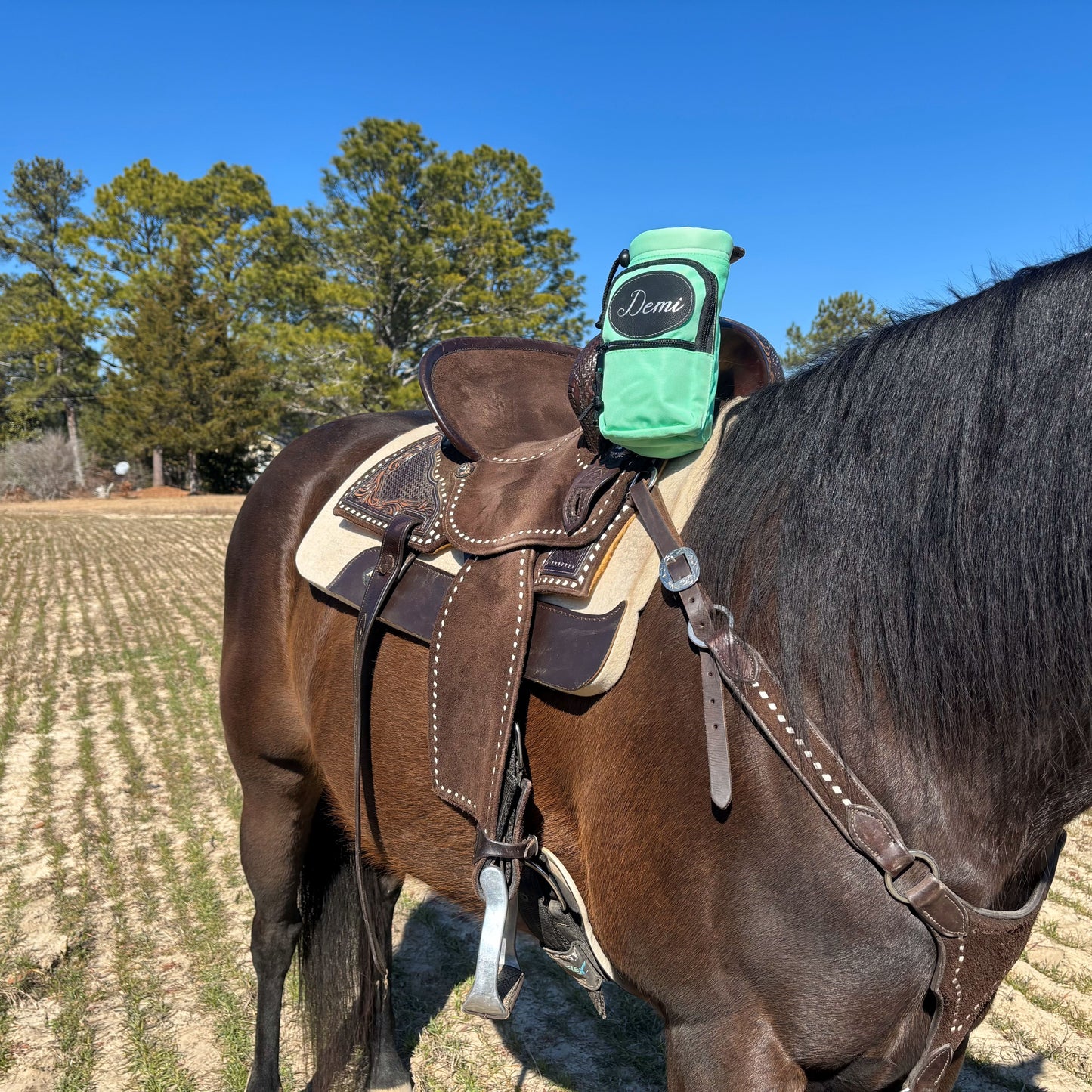 Personalized Horse Saddle Green Pommel Bag & Bottle Holder Set, Horse Tack, Horse Gifts, Horse Stuff, Equestrian Gifts, Saddle Accessories