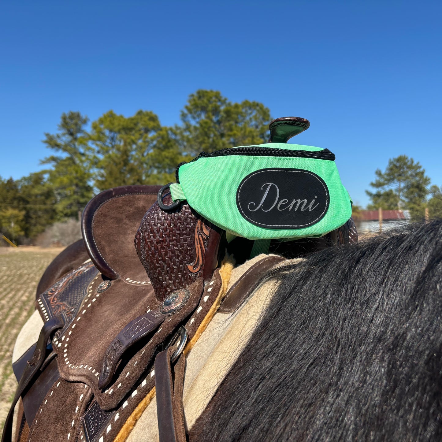 Personalized Horse Saddle Bag, Neon Green Pommel Bag Horse Saddle, Horse Tack, Horse Gifts, Horse Stuff, Equestrian Gifts, Saddle Accessories