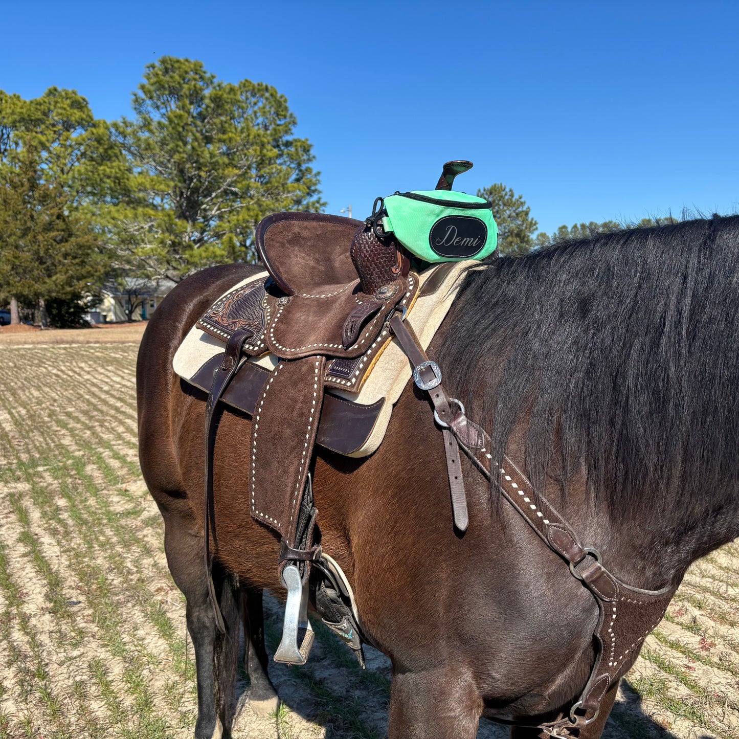 Personalized Horse Saddle Bag, Neon Green Pommel Bag Horse Saddle, Horse Tack, Horse Gifts, Horse Stuff, Equestrian Gifts, Saddle Accessories