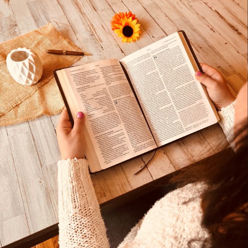 Personalized NLT Bible: Create Your Own Custom Engraved Design with a Designer, Large Print Thinline Reference New Living Translation Bible - Aylev