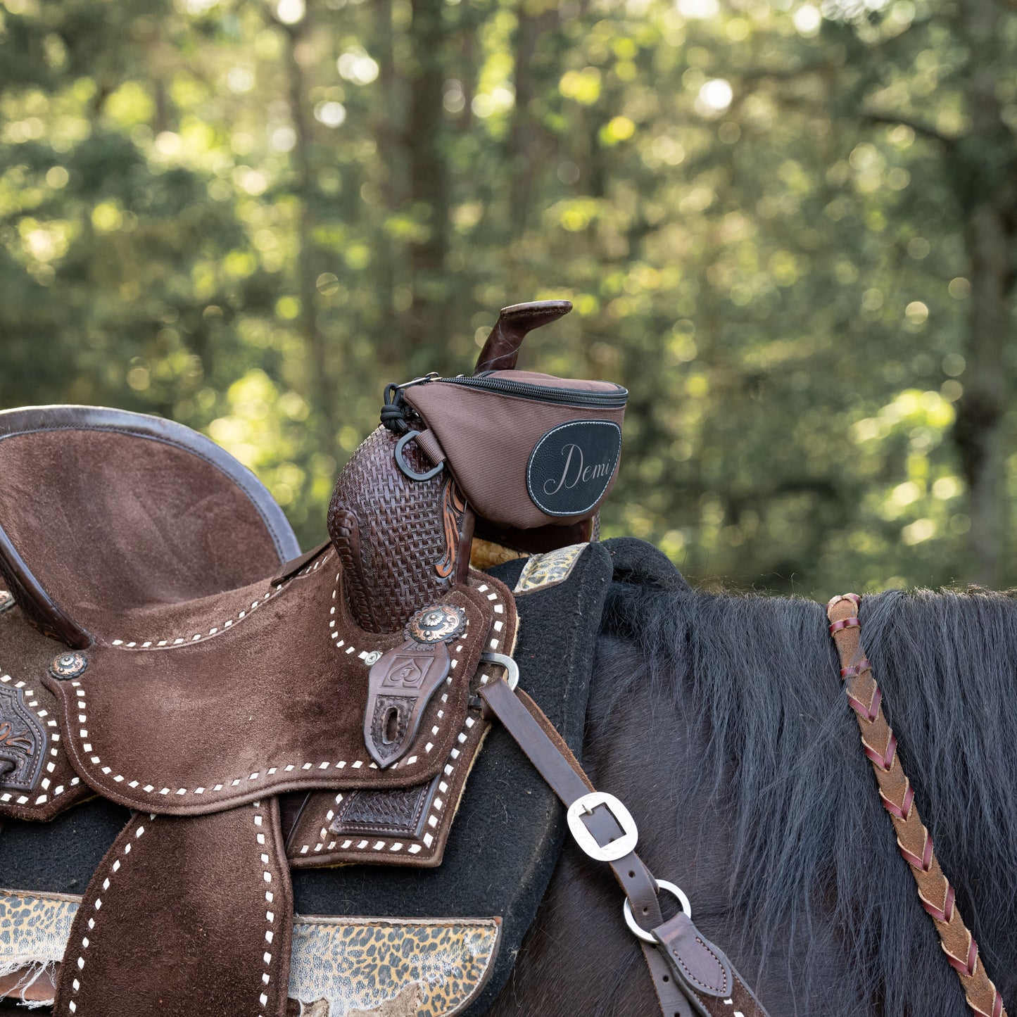 Personalized Horse Saddle Bag, Brown Pommel Bag Horse Saddle, Horse Tack, Horse Gifts, Horse Stuff, Equestrian Gifts, Saddle Accessories