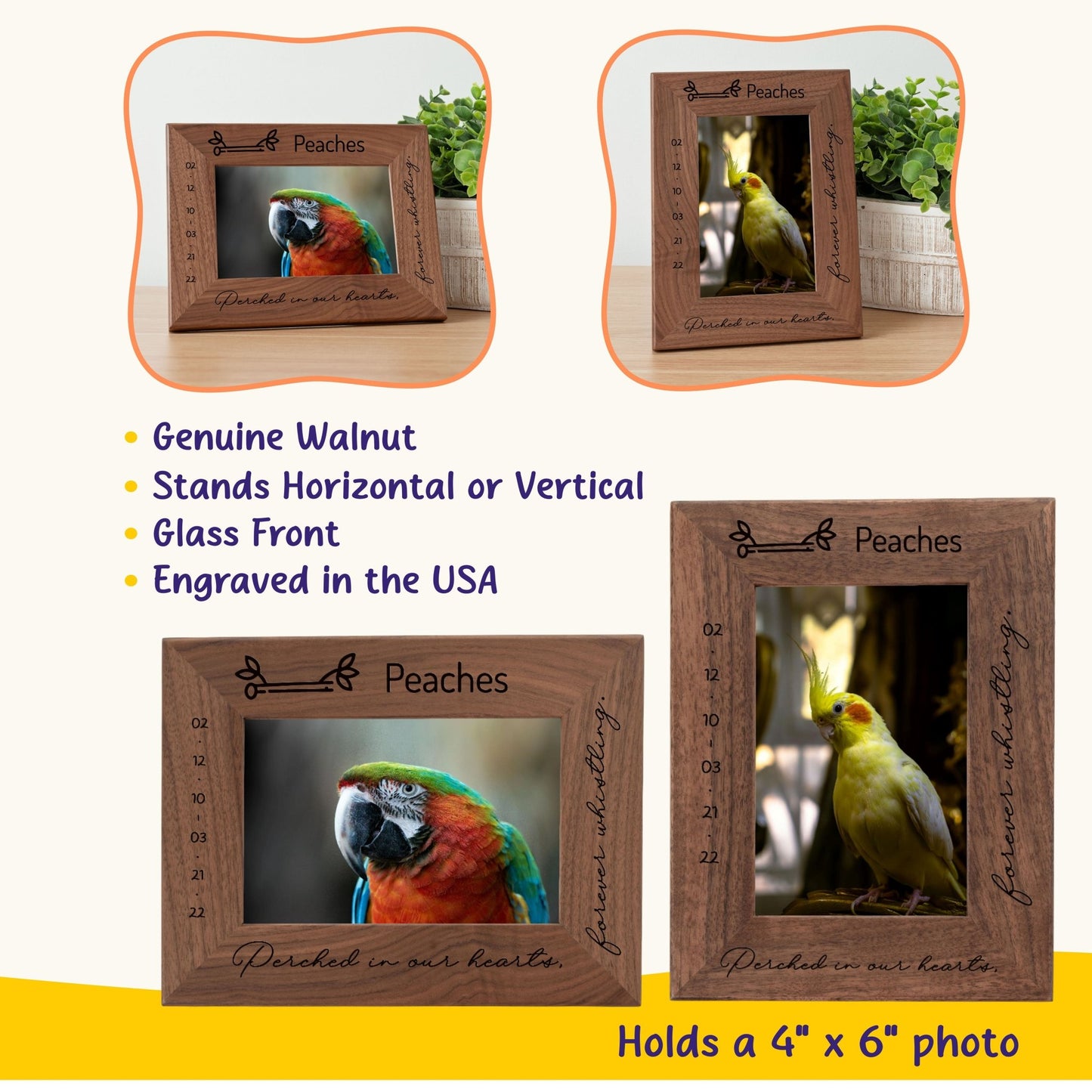Personalized Bird Picture Frame, Genuine Walnut Bird Photo Frame 4x6, Bird Picture Wall Decor, Bird Memorial Gift, Bird Loss Gifts - Apparel & Accessories - Aylev