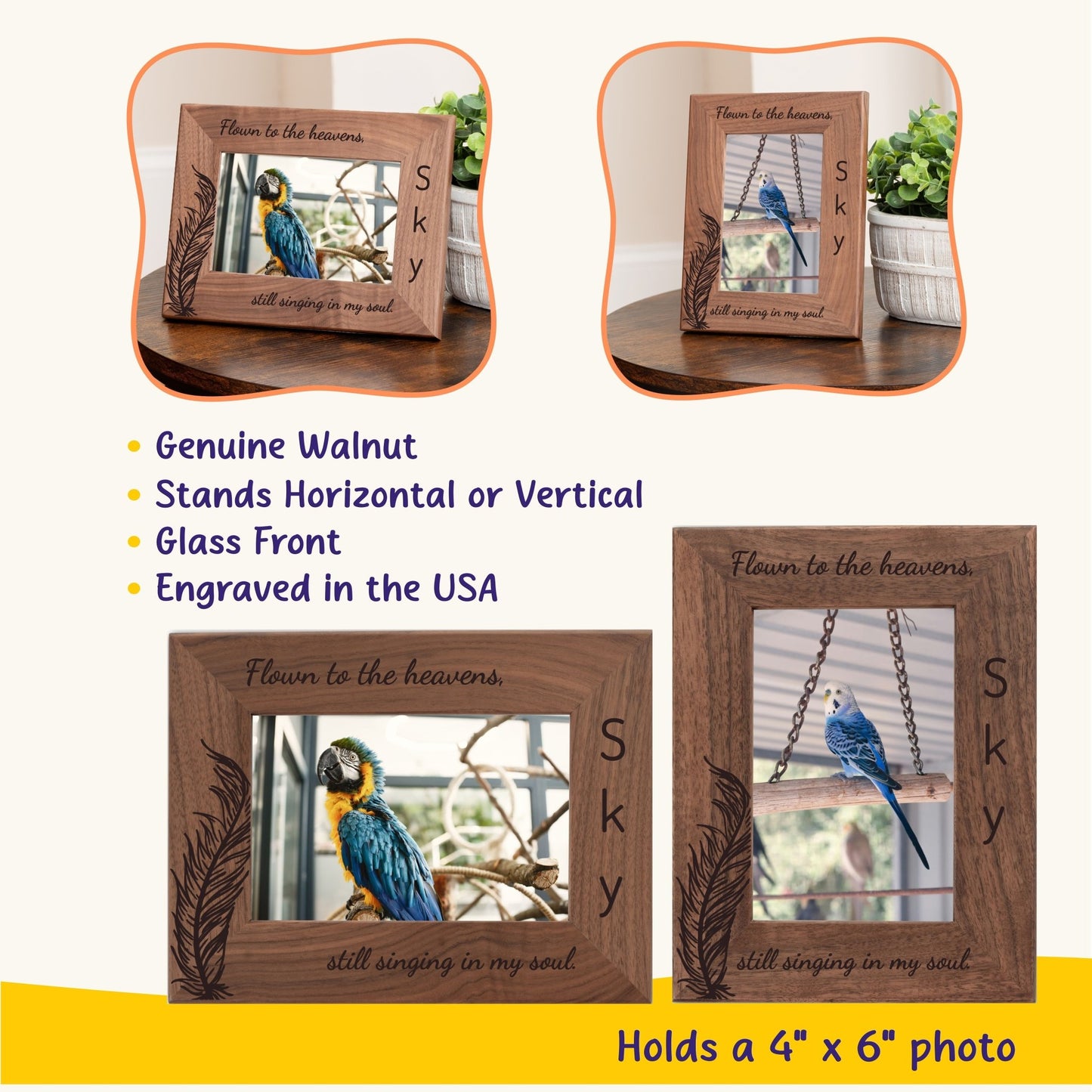 Personalized Bird Picture Frame, Genuine Walnut Bird Photo Frame 4x6, Bird Picture Wall Decor, Bird Memorial Gift, Bird Loss Gifts - Apparel & Accessories - Aylev