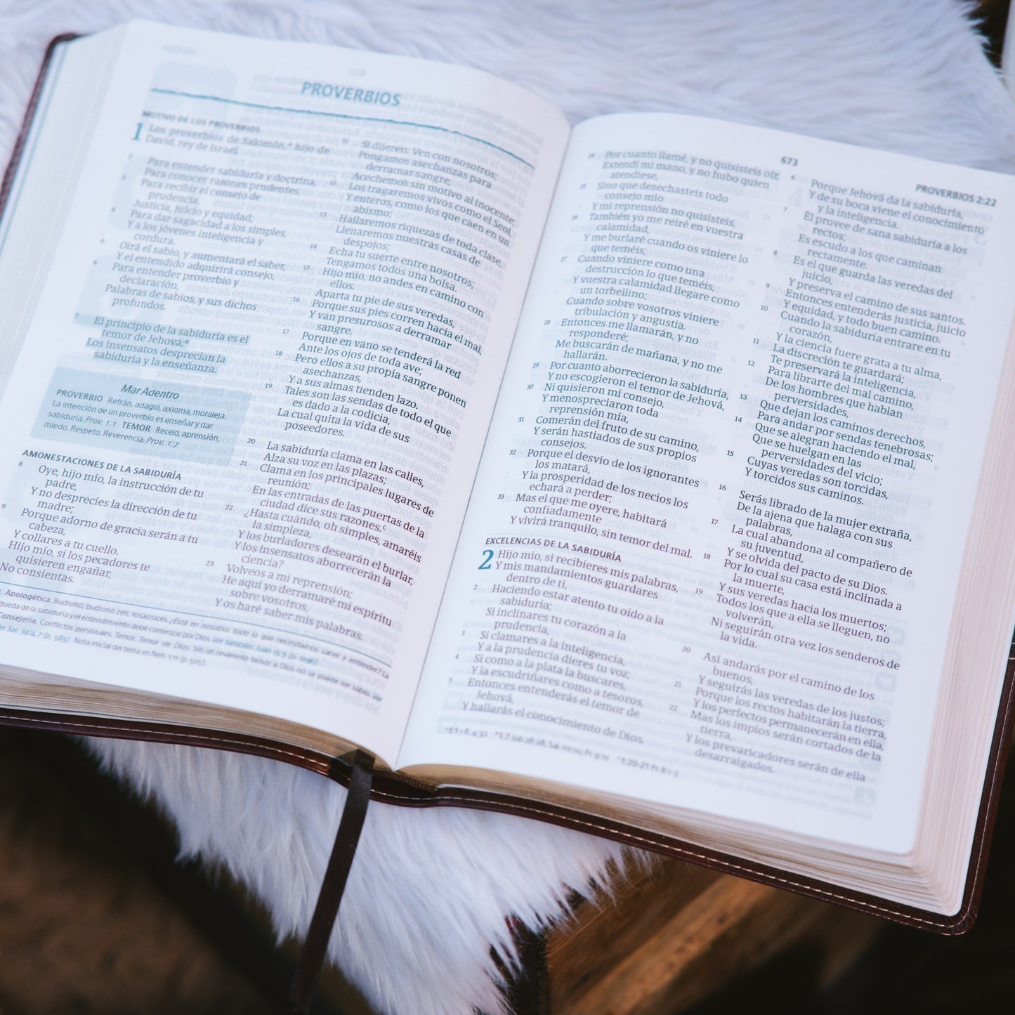 Biblia en Español Personalizada | Personalized Spanish RVR 1960 Bible - Starkenburg Company