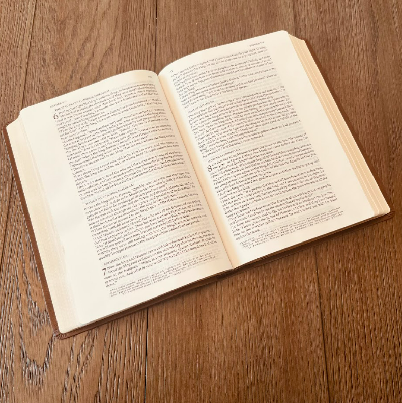 Personalized NASB Bible: Create Your Own Custom Engrave Design with a Designer, Wide-Margin Reference Bible, New American Standard Bible - Aylev
