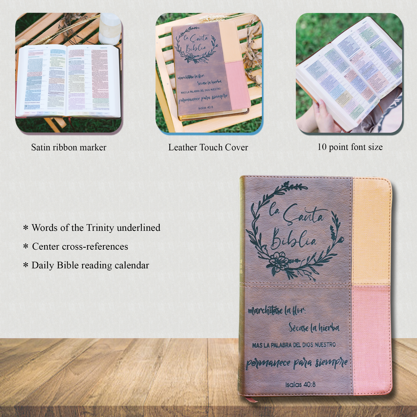 Biblia en Español Personalizada | Personalized Spanish RVR 1960 Bible - Starkenburg Company