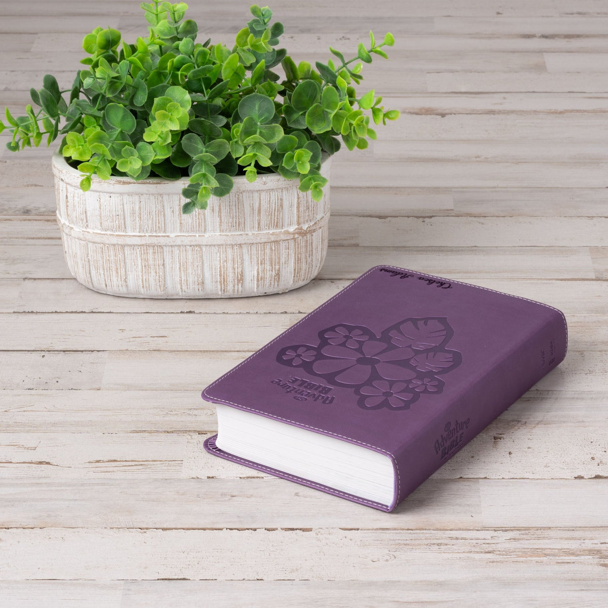 Personalized Adventure Bible for kids, NIrV Kids Bible with Name Engraved, Early Readers Custom Bible, Christian gifts, Baptism gift - Religious Books - Aylev