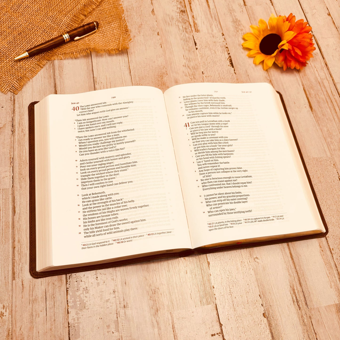 Personalized CSB Wide-Margin Bible & Prayer Journal Set, Large Print Journaling Bible, Engraved with Name, Christian Gift, Wedding Gifts