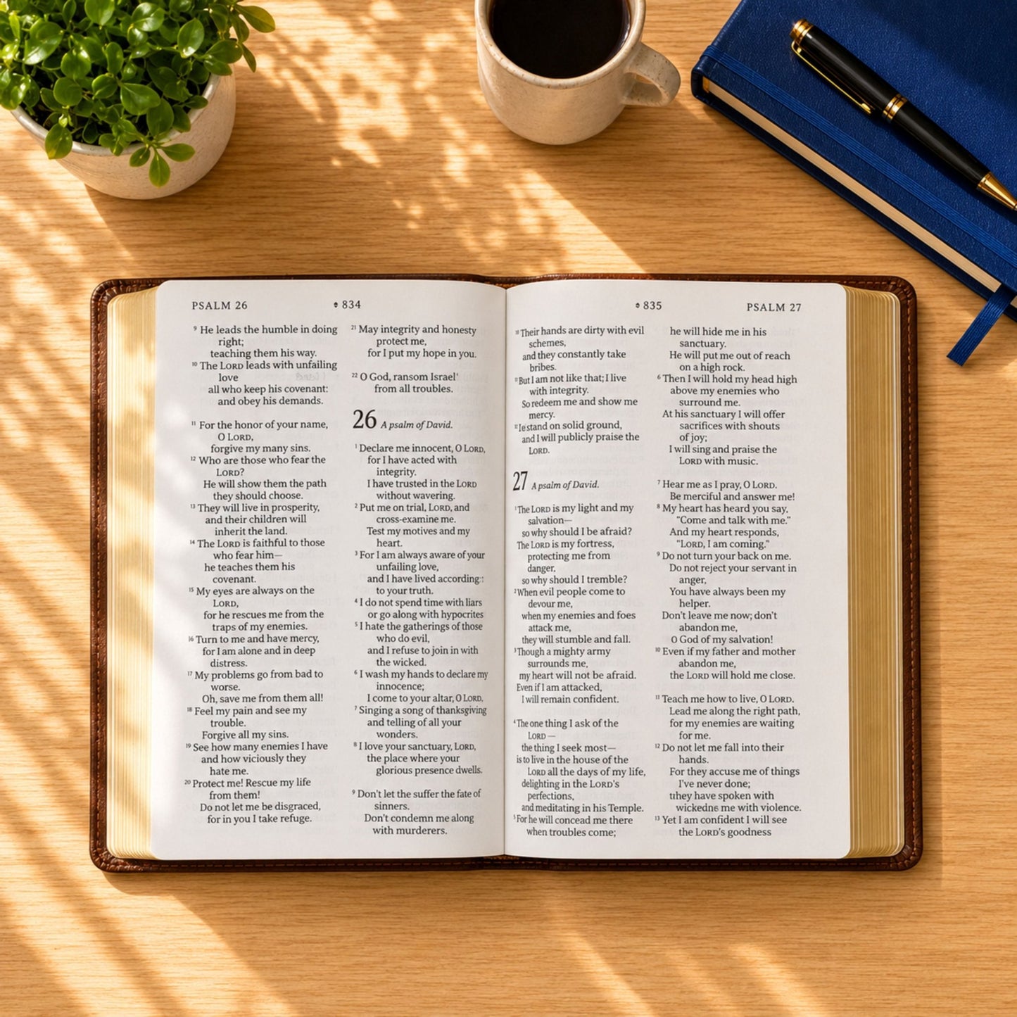 Personalized NLT Giant Print Bible, Personal Size New Living Translation, Custom Bible Engraved Name, Christian Baptism Gift for Men & Women - Religious Books - Aylev