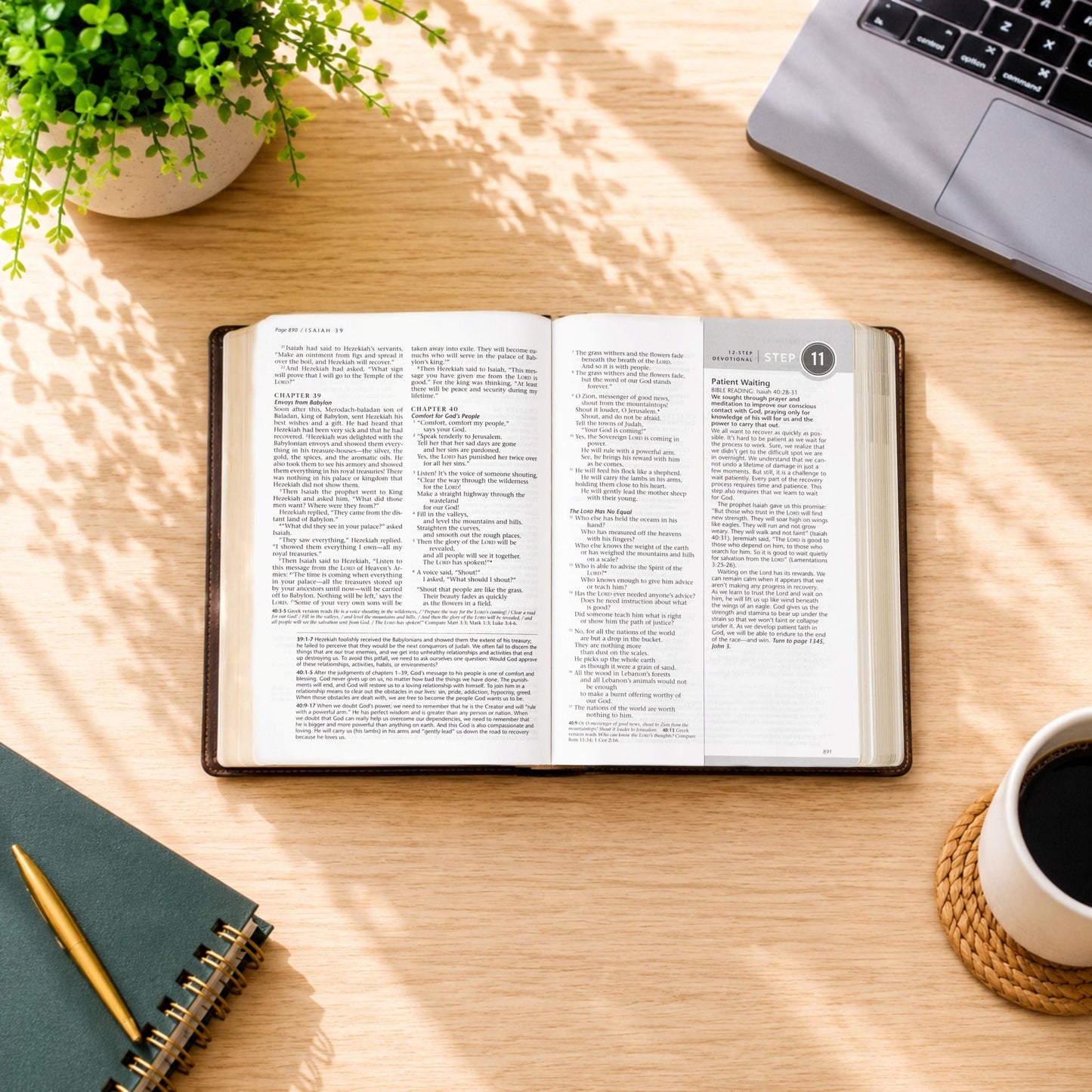 Personalized NLT Life Recovery Bible, Second Edition, Custom Engraved Name, Christian Gift for Sobriety, Recovery for Men & Women - Religious Books - Aylev