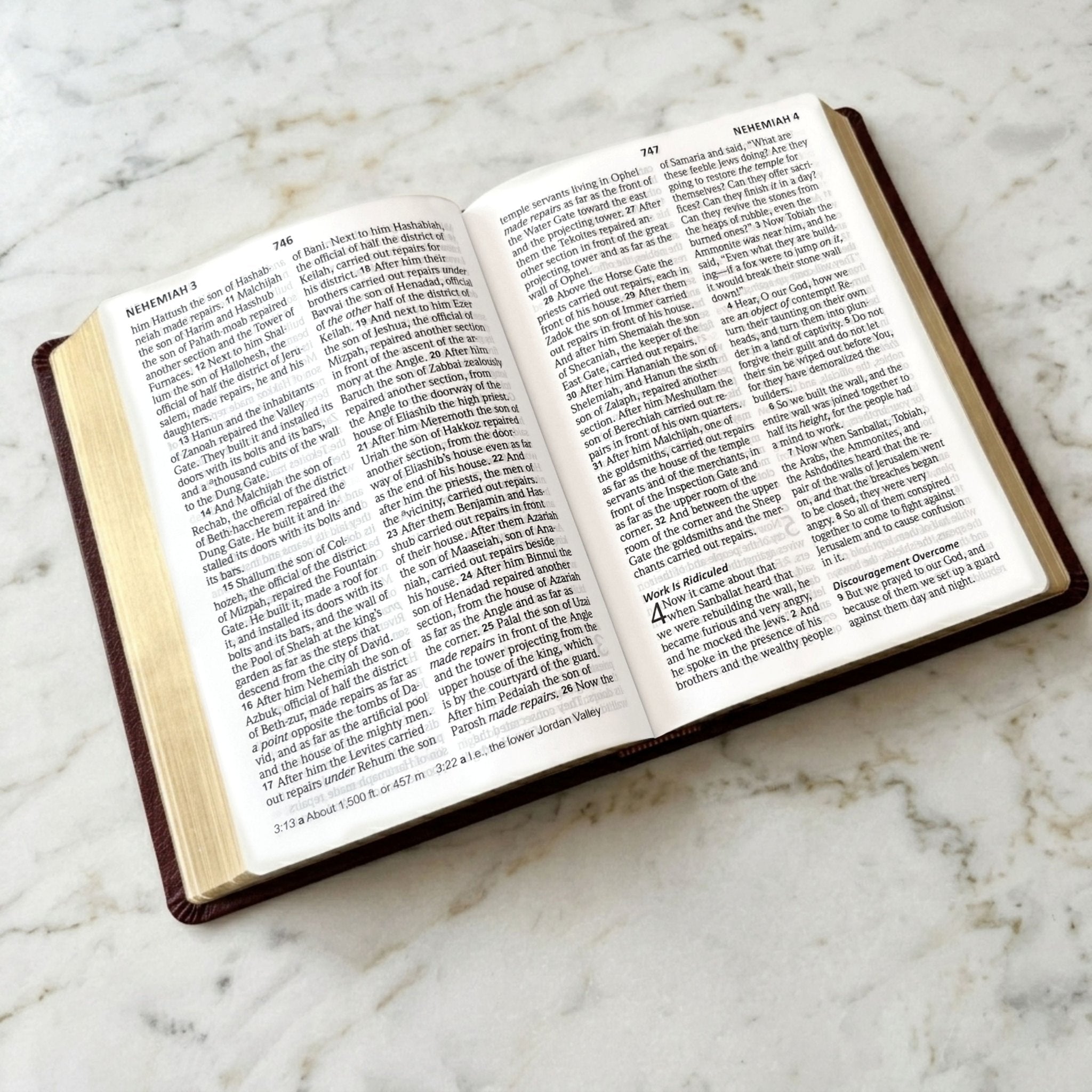 Personalized NASB Giant Print Bible, Son of a King Lion Design, Custom Engraved Name, Christian Gift, Baptism Gift, Bible Gift for Him - Religious Books - Aylev