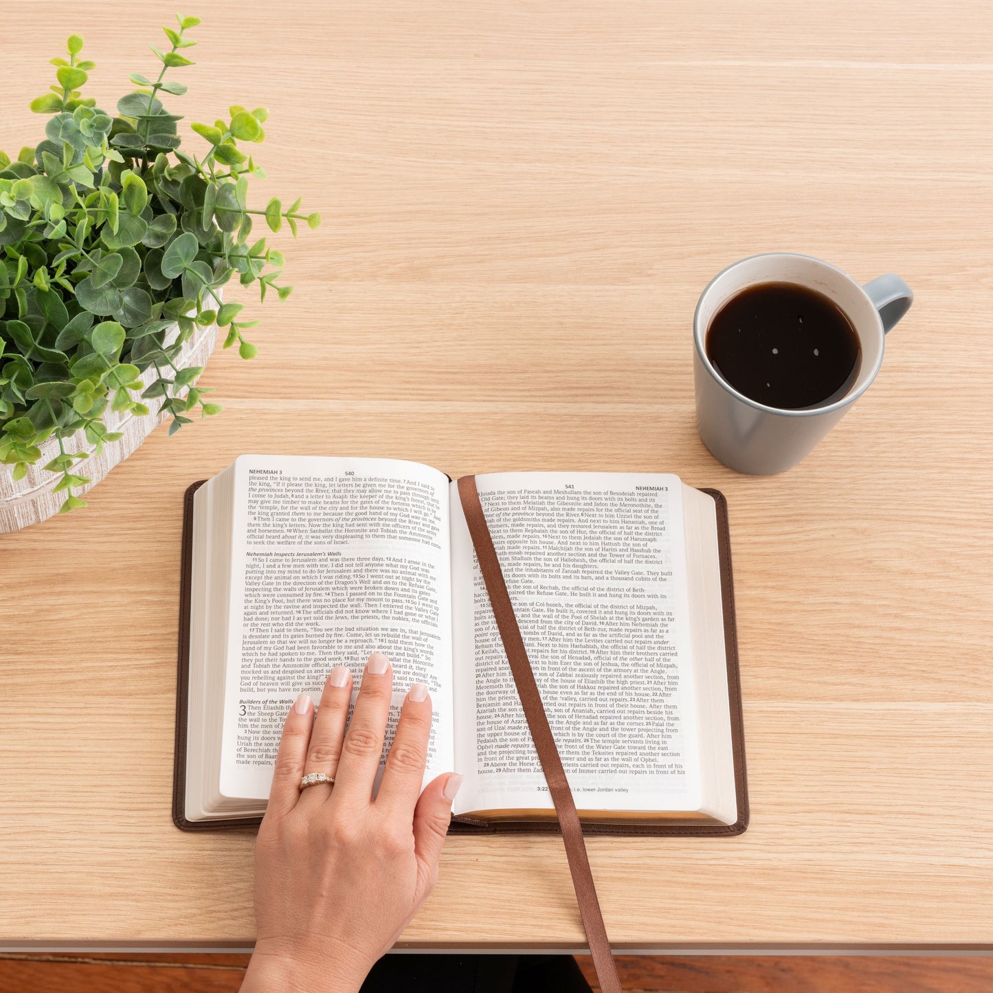 Personalized NASB Bible with Name Engraved, Large Print Compact Bible, Custom Bible Engraved Name, New American Standard Bible, Baptism Gift