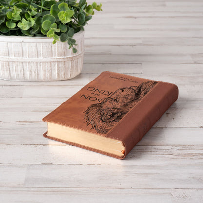 Personalized NIV Large - Print Bible, Son of a King Lion Design, Custom Engraved Name, Christian Gift, Baptism Gift, Bible Gift for Him - Religious Books - Aylev
