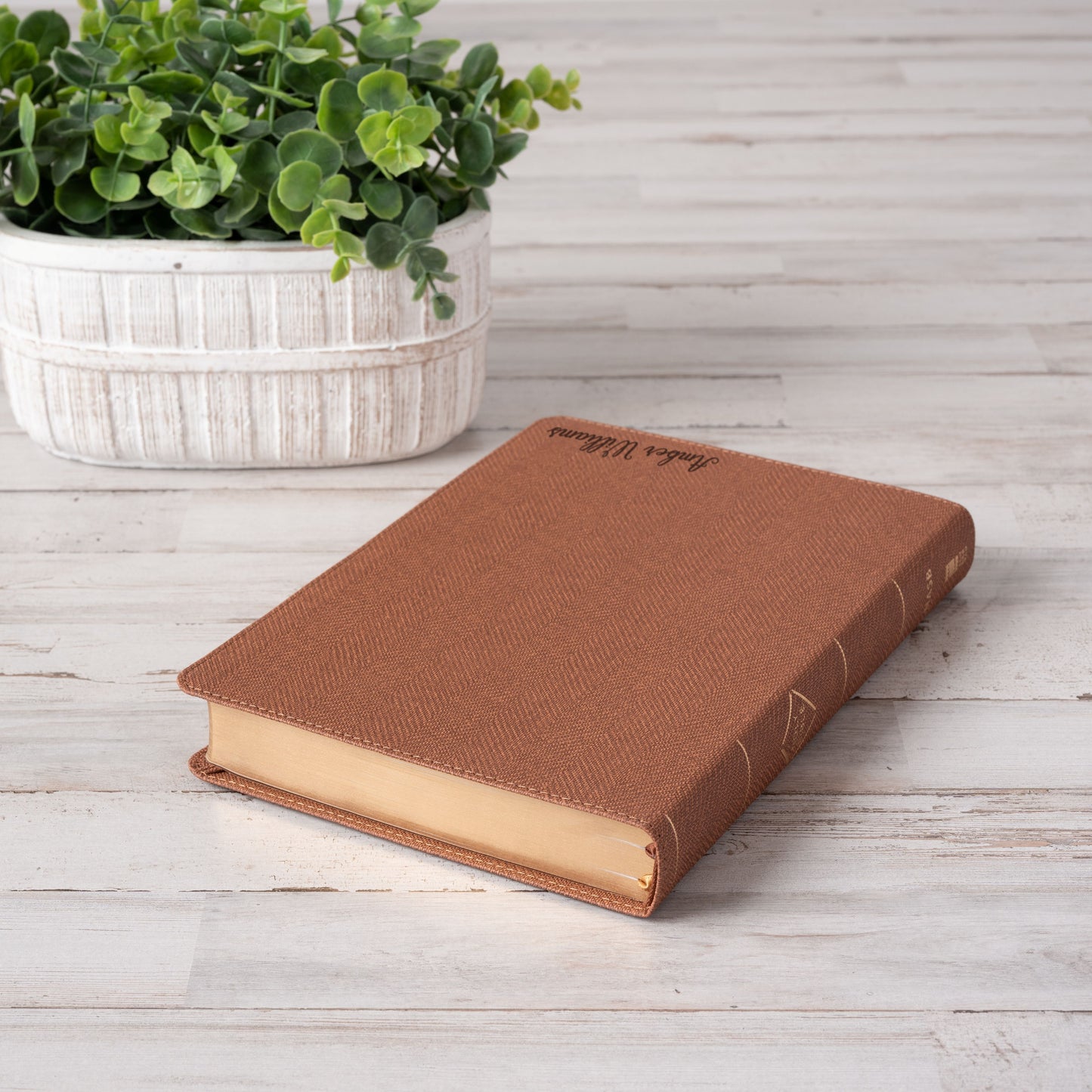 Personalized NASB Bible with Name Engraved, Thinline Passaggio Bible, Custom Bible Engraved Name, New American Standard Bible, Baptism Gifts