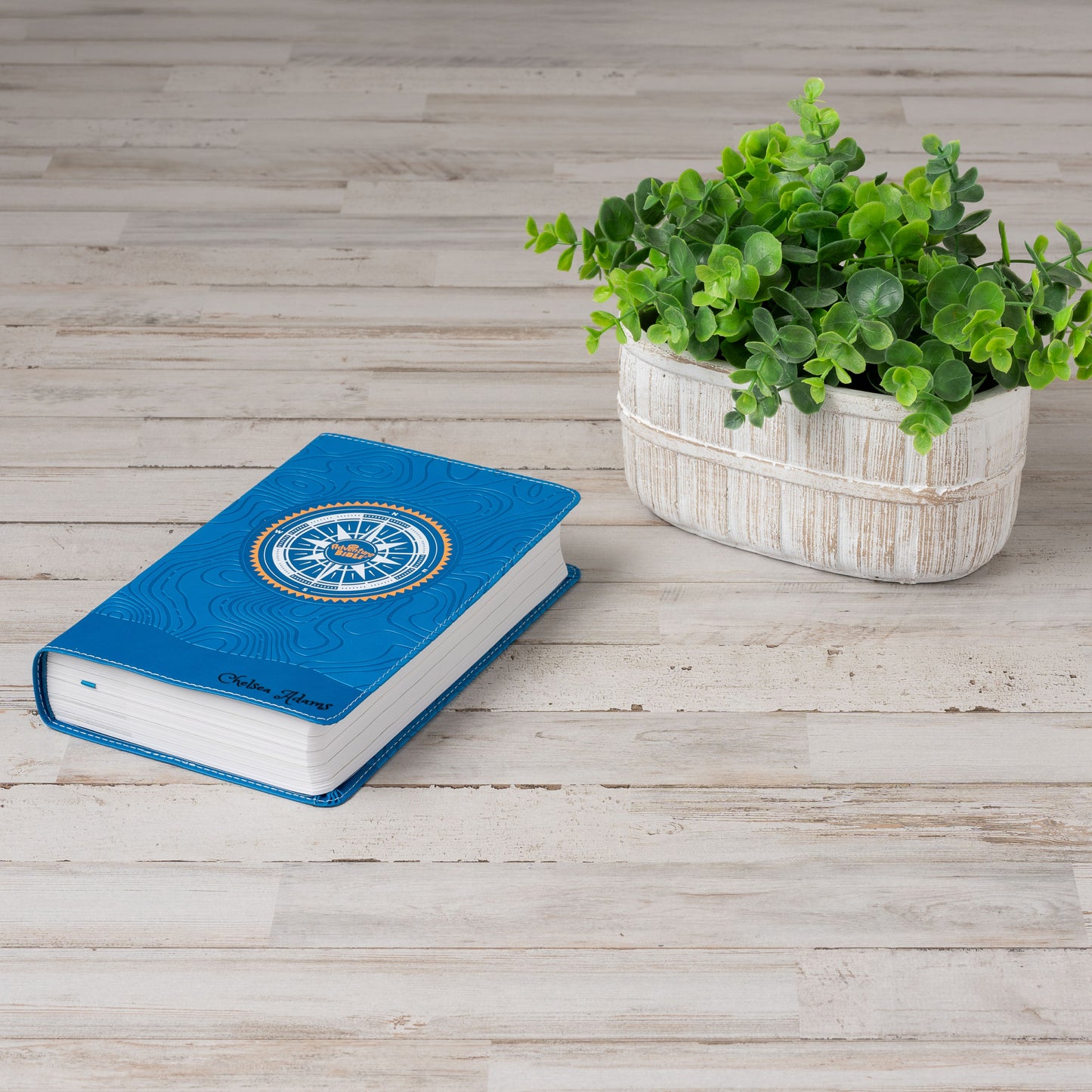 Personalized Adventure Bible for kids, NIV Kids Bible with Name Engraved, Early Readers Custom Bible, Christian gifts, Baptism gift