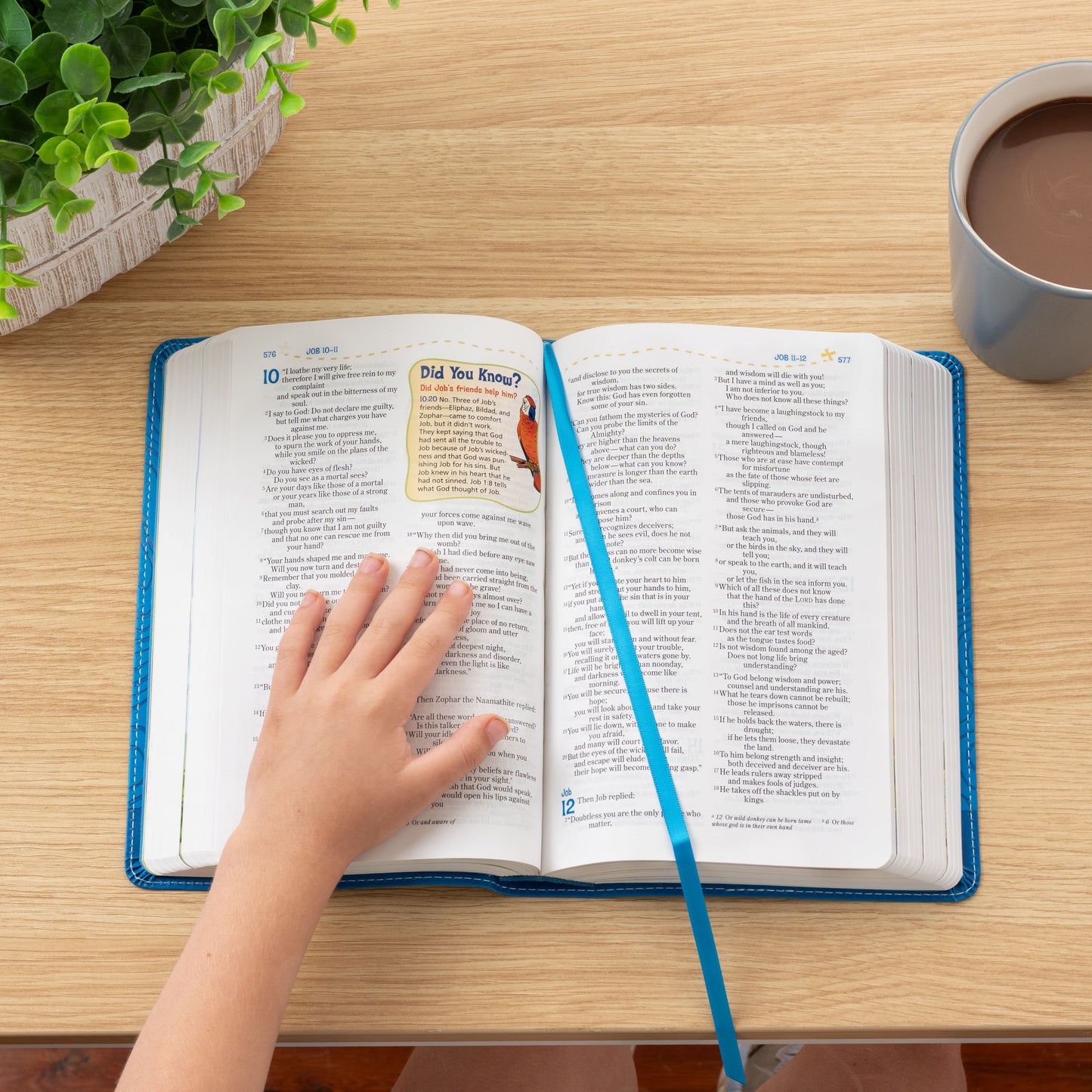 Personalized Adventure Bible for kids, NIV Kids Bible with Name Engraved, Early Readers Custom Bible, Christian gifts, Baptism gift