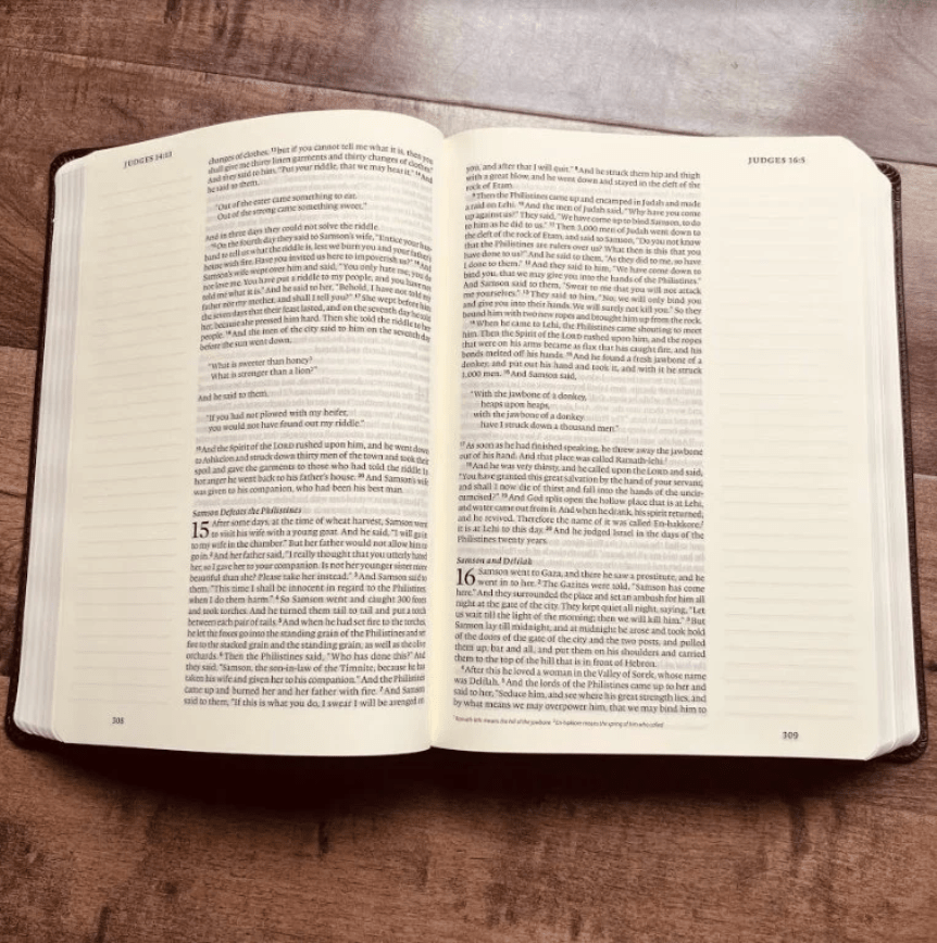Personalized ESV Bible, ESV Journaling Bible, Custom Engraved Name, English Standard Version, Christian Gifts, Bible Name Engraved - Religious Books - Aylev