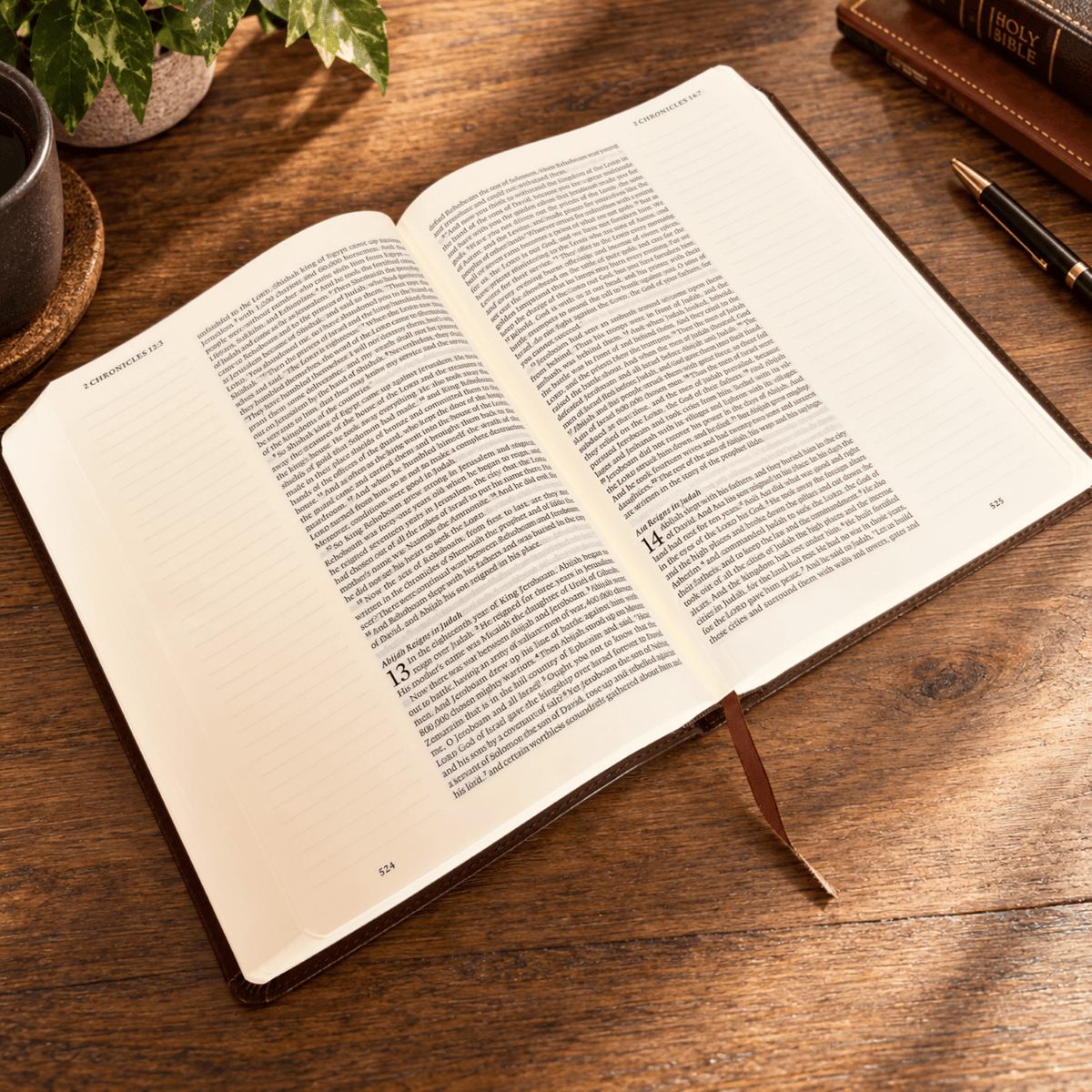 Personalized ESV Journaling Bible, Custom Engraved Acrostic Name with Verse Reference, Lion Design, Christian Bible Gift for Him - Religious Books - Aylev