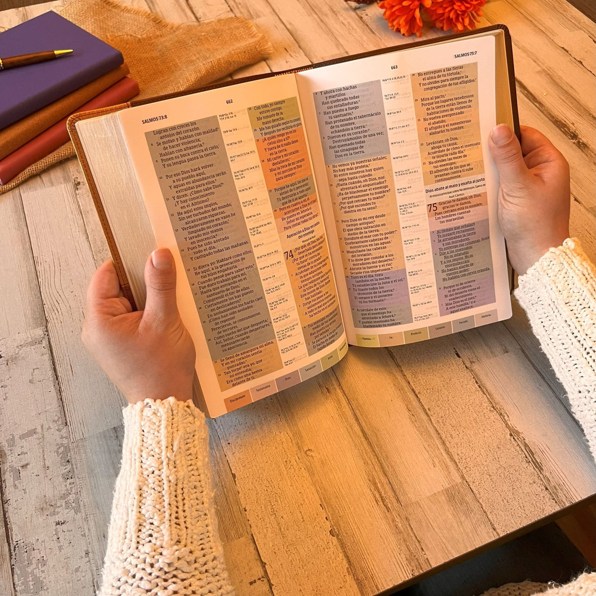 Biblia RVR 1960 personalizada con nombre grabado, RVR 1960 Biblia de Estudio Arcoíris, Custom Engraved Spanish Rainbow Bible, Baptism Gifts - Religious Books - Aylev