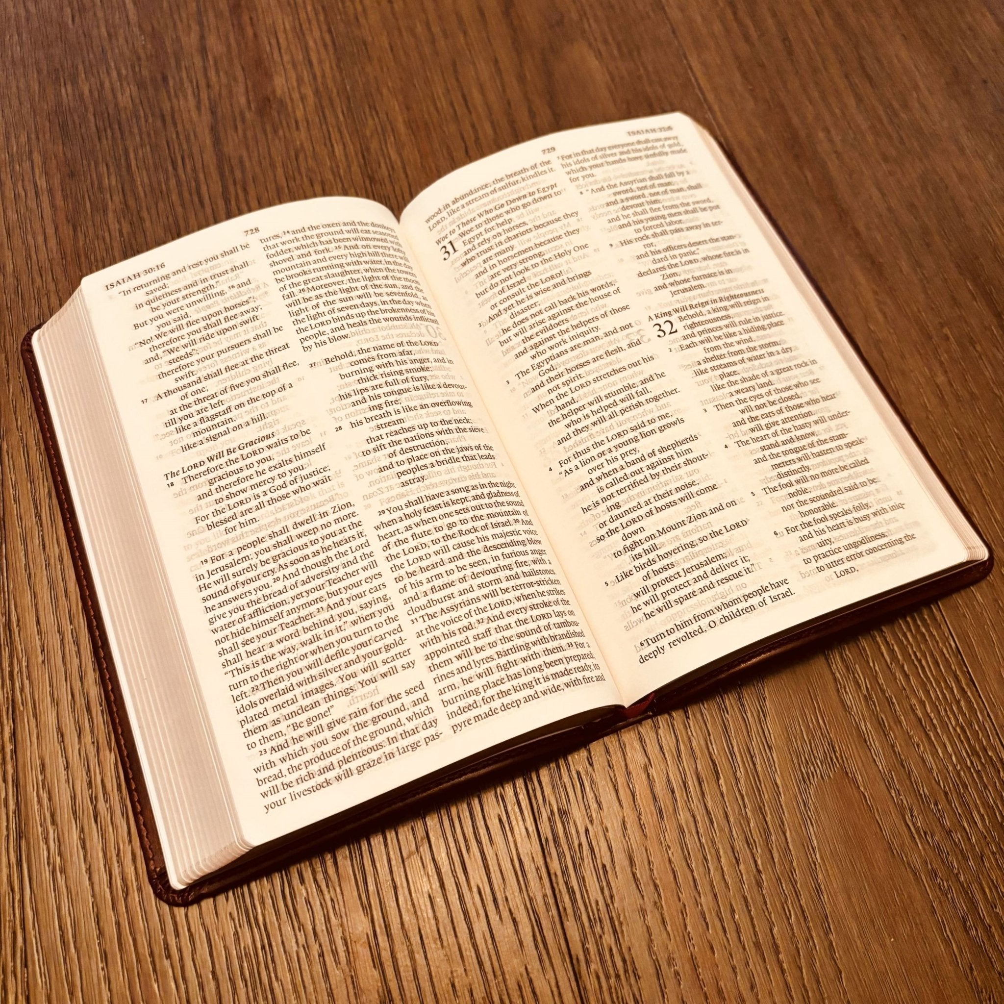 Personalized ESV Bible with Name Engraved, Large Print Thinline Bible, Custom Bible Name Engraved, English Standard Version, Baptism Gifts - Religious Books - Aylev