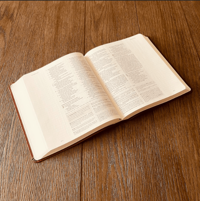 Personalized Family Bible, Custom Engraved ESV Family Tree Journaling Study Bible, Wedding Gifts, Christian Gifts, Family Bible for Wedding - Religious Books - Aylev