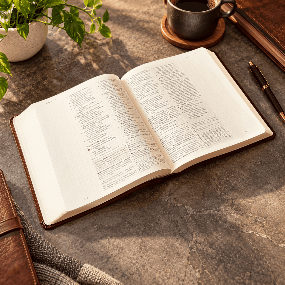 Personalized ESV Journaling Study Bible, Custom Engraved Acrostic Name with Verse Reference, Lion Design, Gift for Him - Religious Books - Aylev