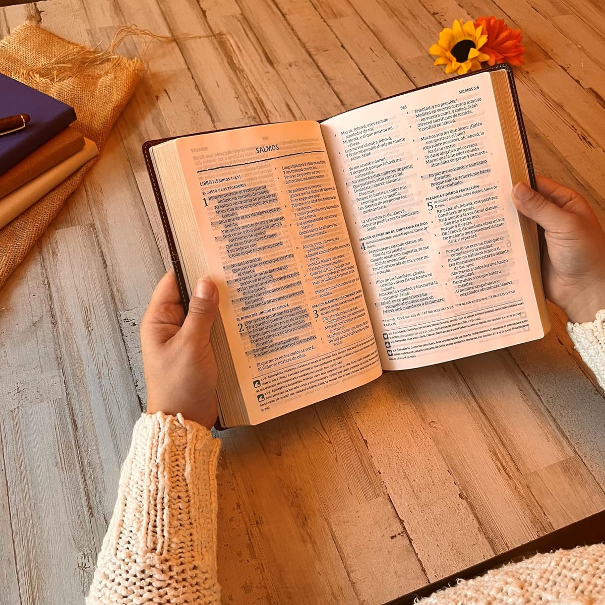 Biblia personalizada en español con nombre grabado, Biblia Reina Valera 1960, Biblia personalizada con nombre grabado, regalos de bautismo - Religious Books - Aylev