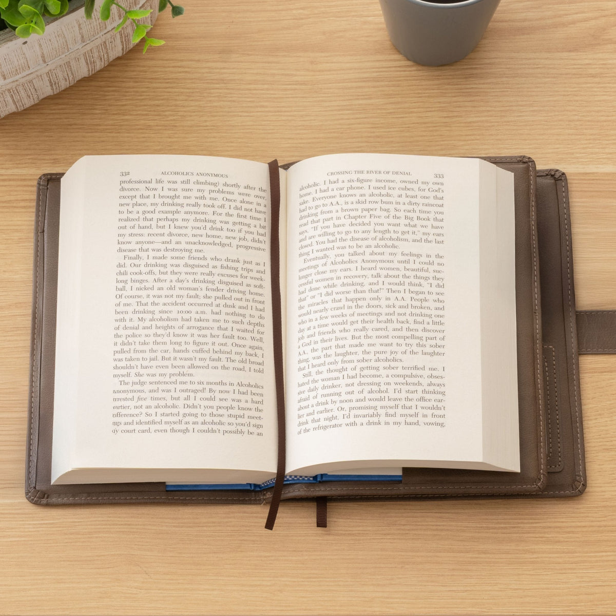 Personalized AA Big Book & 12 Steps and 12 Traditions Book Set Cover, Alcoholics Anonymous Gifts, Fits 2 Hardcover AA Books, AA Coin Holder - Religious Books - Aylev