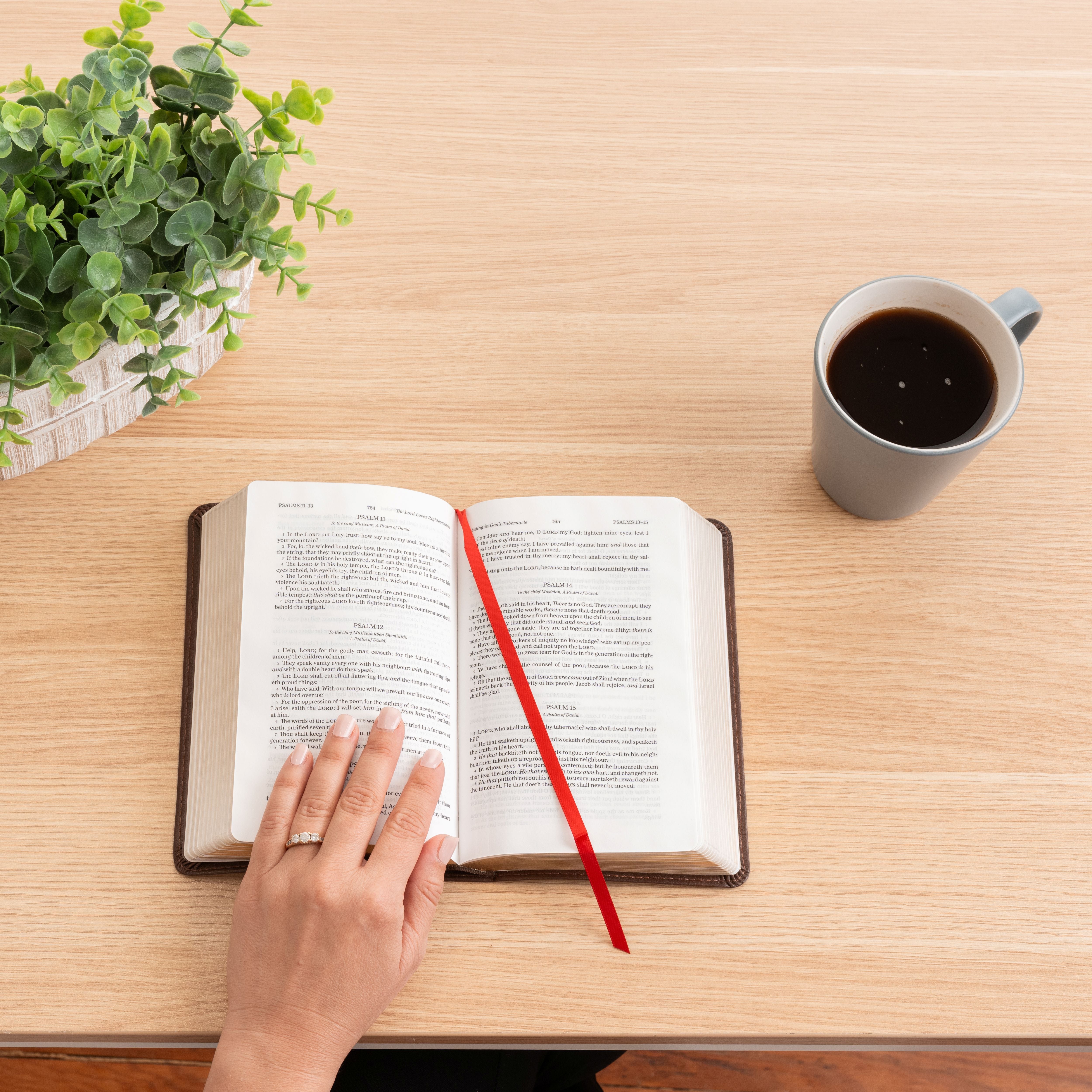 Personalized KJV Compact Bible, Daughter of a King Lion Design, Custom Engraved Name, Christian Gift, Baptism Gift, Bible Gift for Her