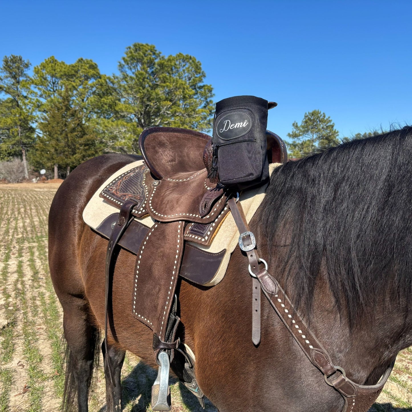 Personalized Horse Saddle Water Bottle Holder, Multi-Pocket Saddle Drink Holder, Fits Bottles Up to 40 oz, Multiple Colors - Horse Tack Accessories - Aylev