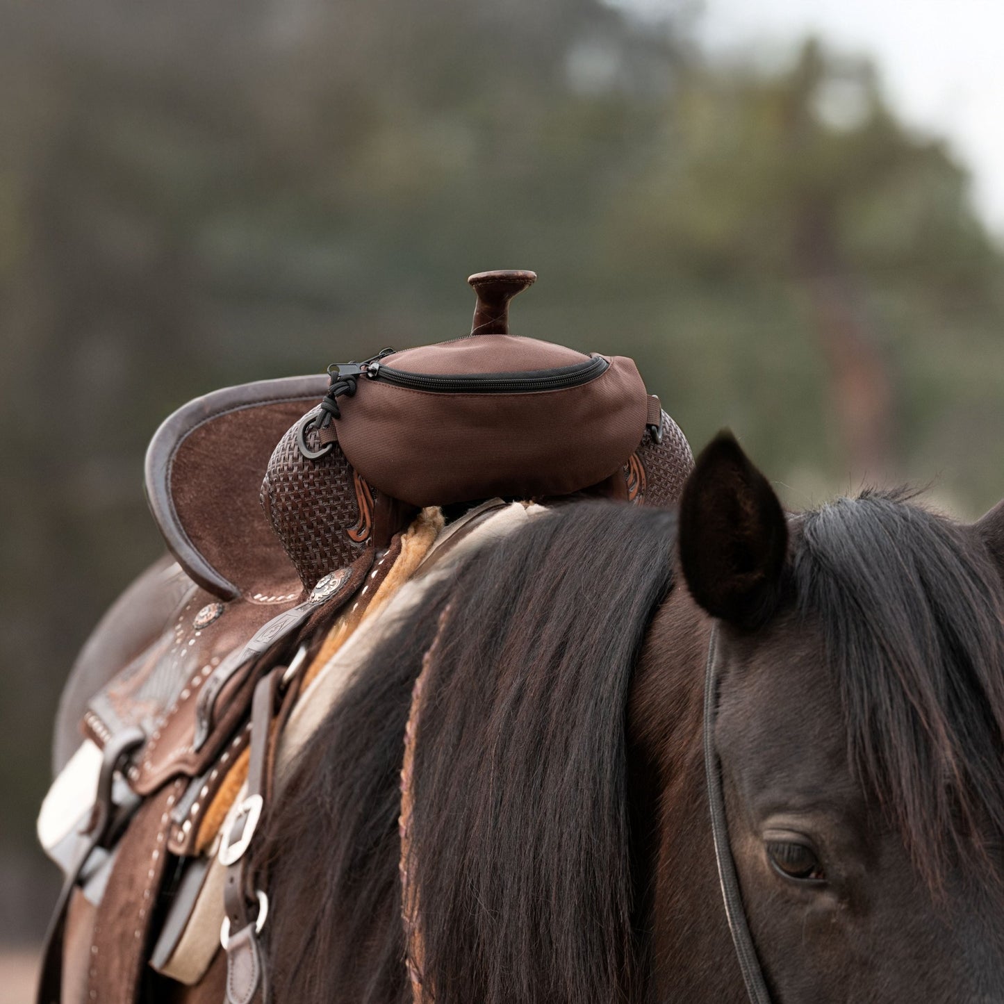 Horse Saddle Pommel Bag, Equestrian Storage Bag for Trail Riding & Horse Tack, Multiple Colors - Horse Tack Accessories - Aylev