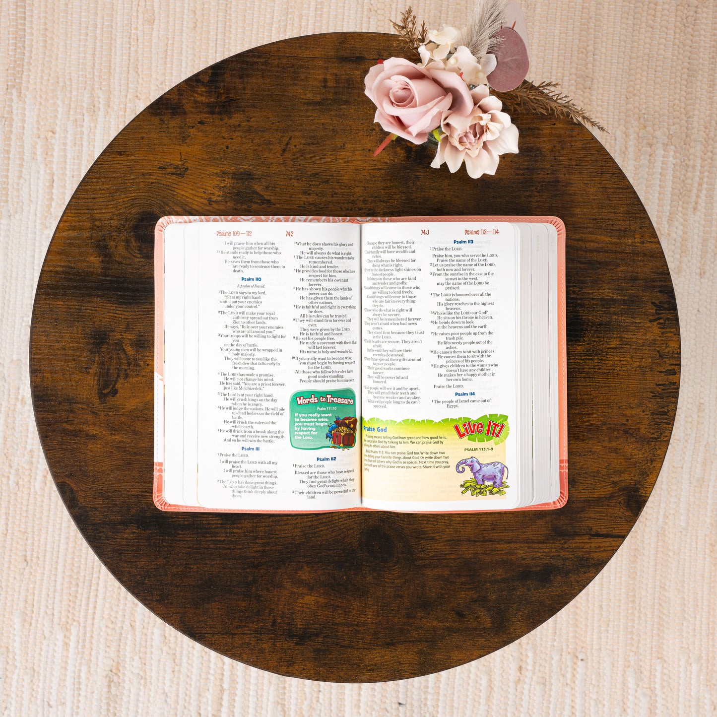 Personalized Adventure Bible for kids, NirV Kids Bible with Name Engraved, Early Readers Custom Bible, Christian gifts, Baptism gift
