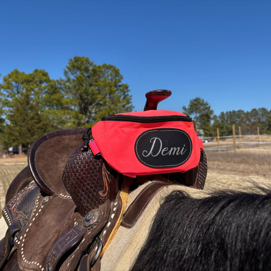 Personalized Horse Saddle Bag, Pink Pommel Bag Horse Saddle, Horse Tack, Horse Gifts, Horse Stuff, Equestrian Gifts, Saddle Accessories