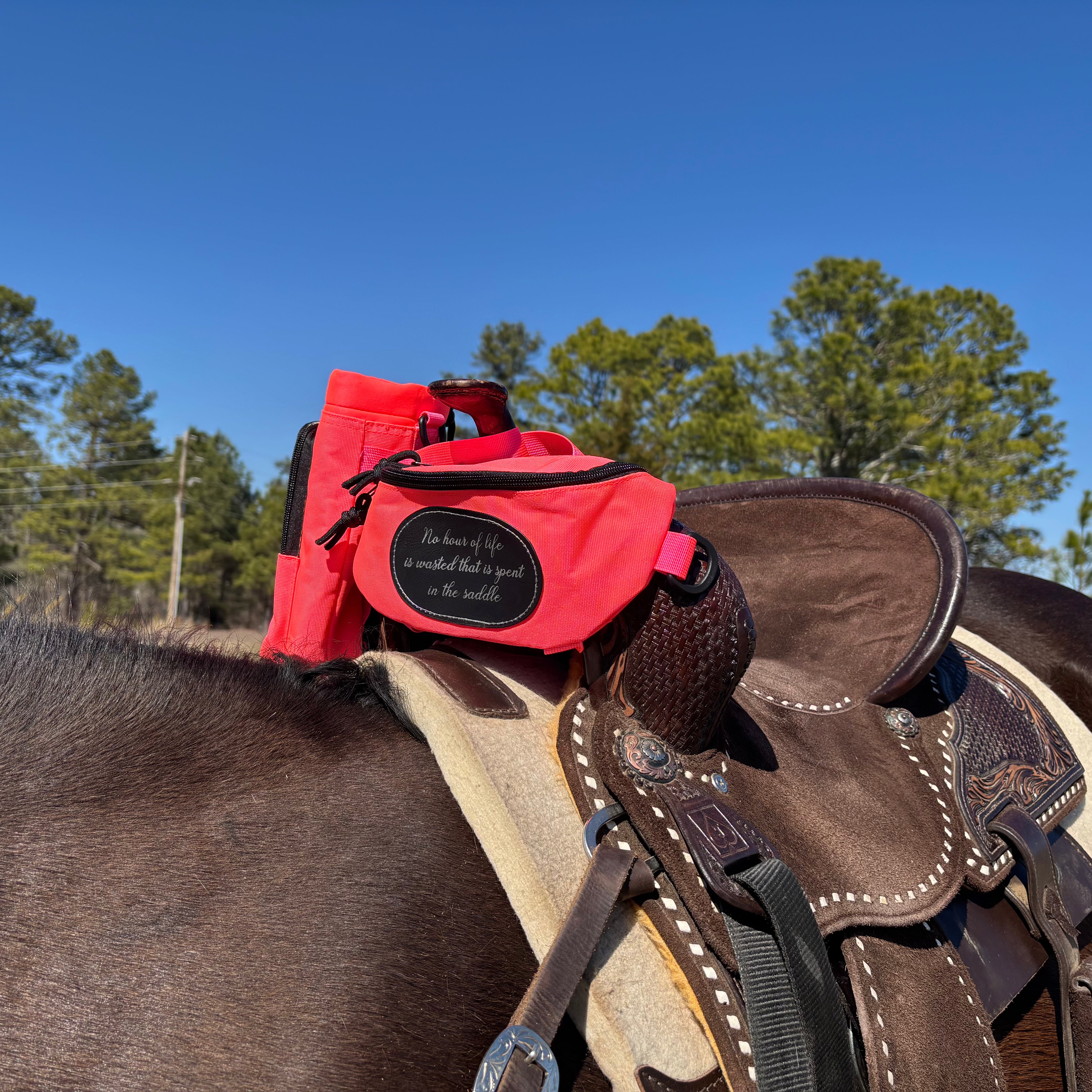 Personalized Horse Saddle Pommel Bag & Water Bottle Holder Set, Custom Equestrian Trail Riding Accessory