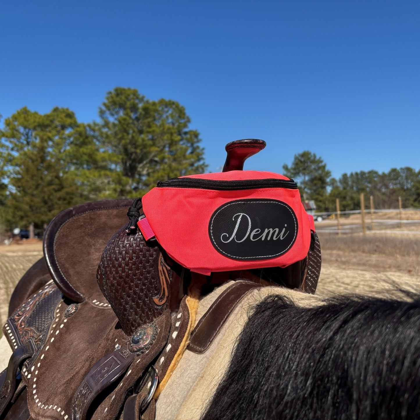Personalized Horse Saddle Pommel Bag, Equestrian Storage Bag for Trail Riding & Horse Tack, Multiple Colors - Horse Tack Accessories - Aylev