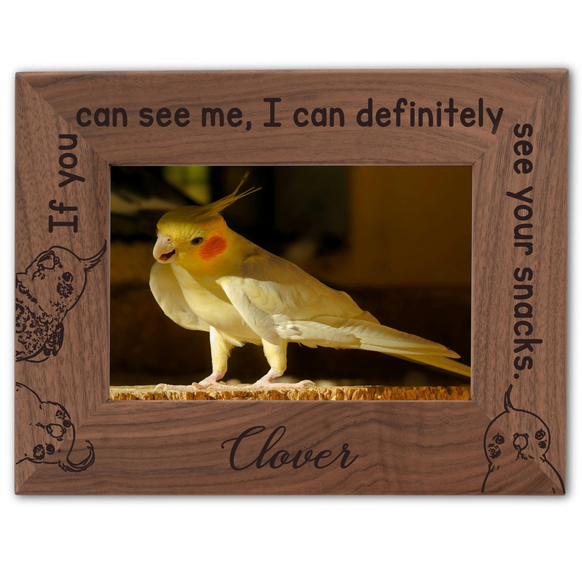 Personalized Bird Picture Frame, Genuine Walnut Bird Photo Frame 4x6, Bird Picture Wall Decor, Bird Memorial Gift, Bird Loss Gifts - Apparel & Accessories - Aylev
