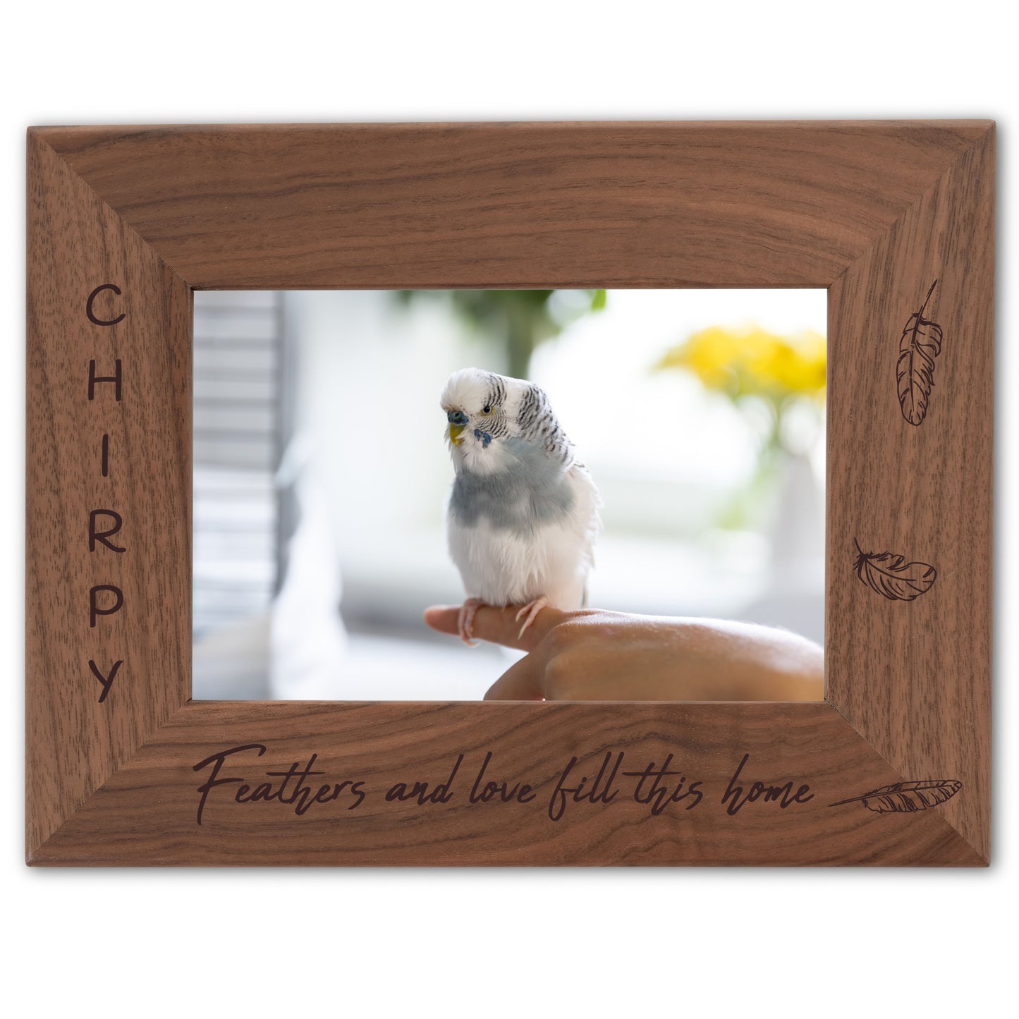 Personalized Bird Picture Frame, Genuine Walnut Bird Photo Frame 4x6, Bird Picture Wall Decor, Bird Memorial Gift, Bird Loss Gifts