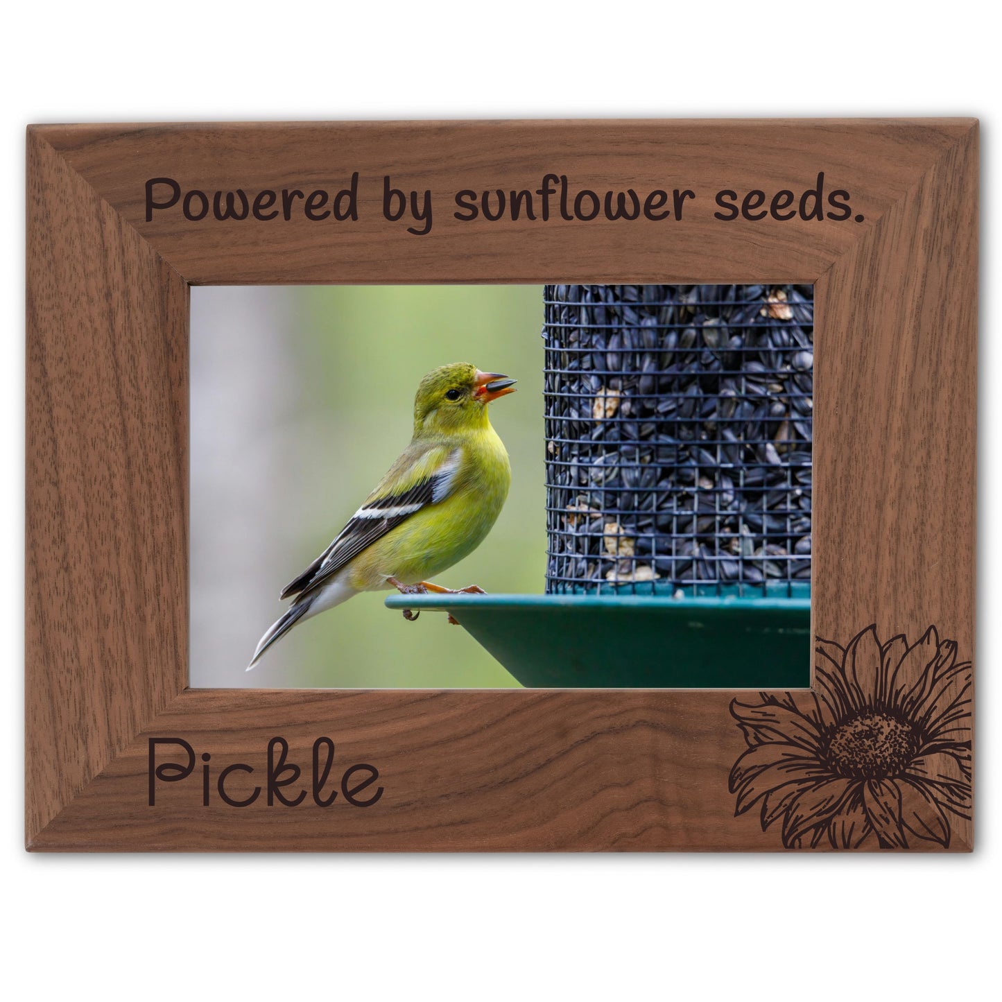 Personalized Bird Picture Frame, Genuine Walnut Bird Photo Frame 4x6, Bird Picture Wall Decor, Bird Memorial Gift, Bird Loss Gifts